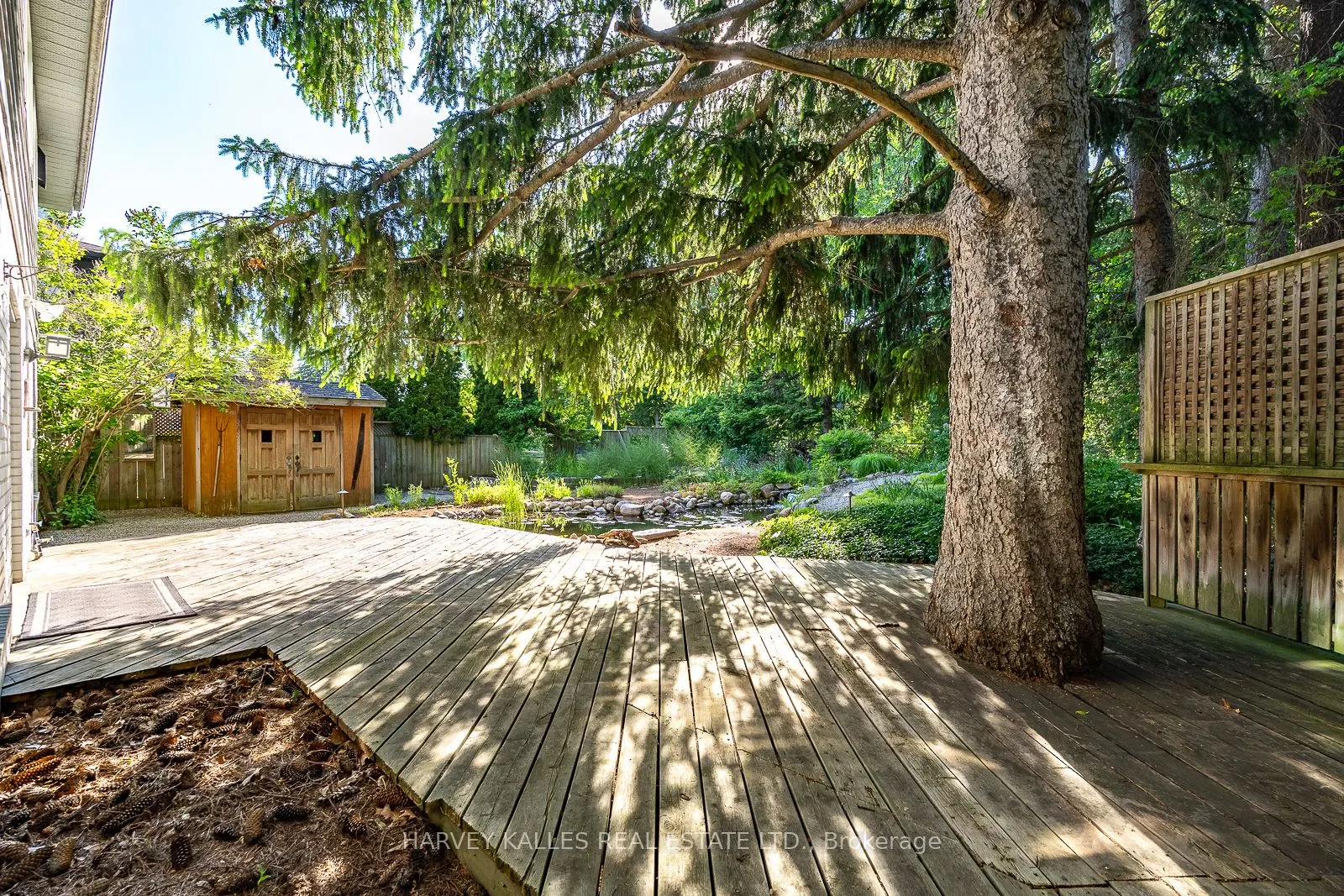 1033 Fair Birch Drive