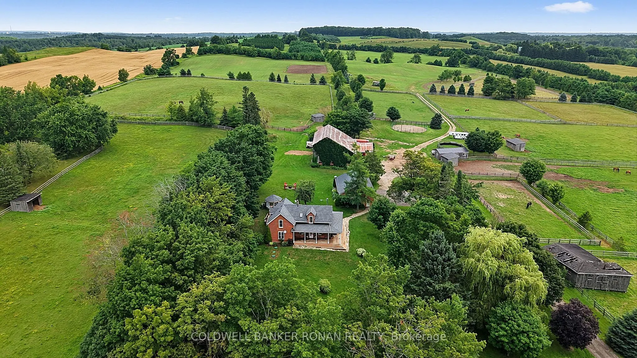 20855 Shaws Creek Road