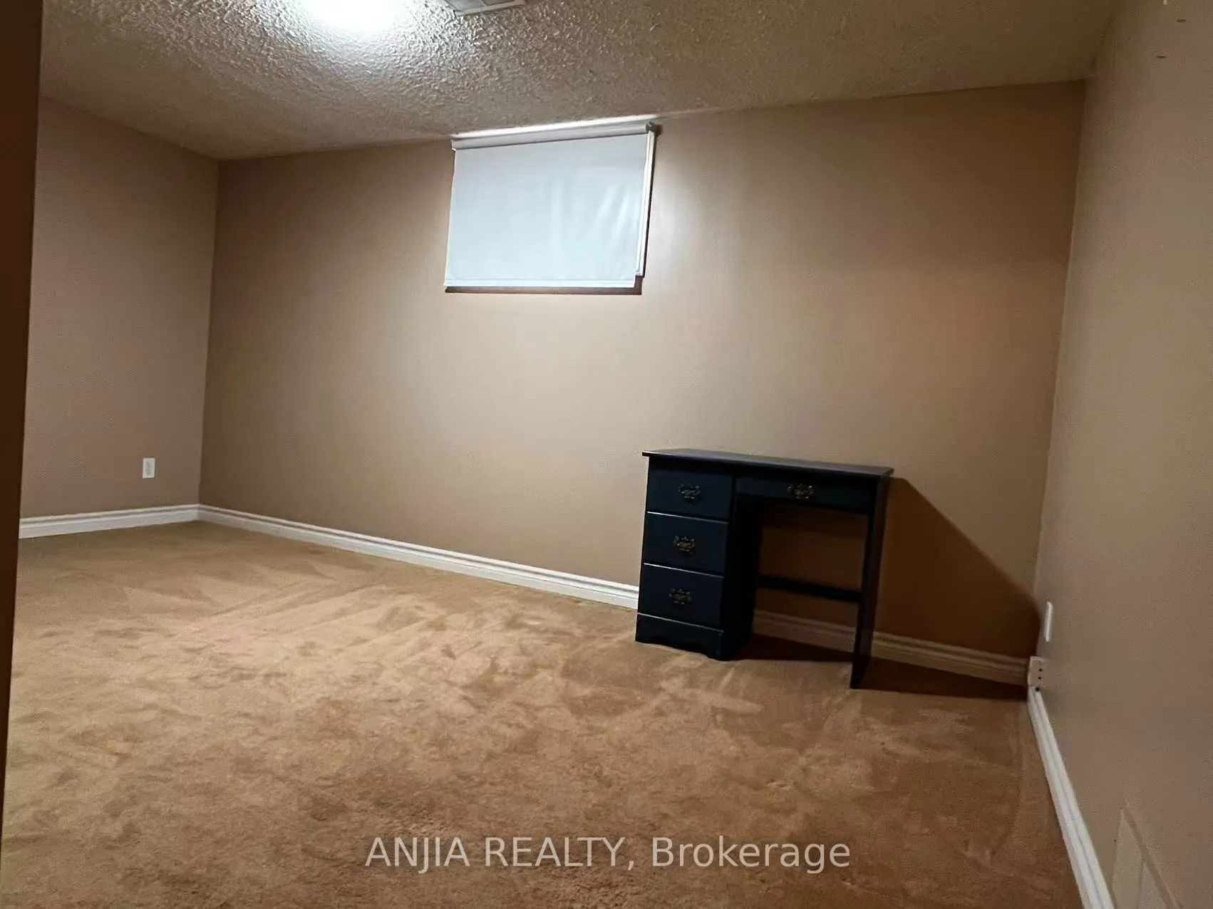 1299 Shamir Crescent #Basement