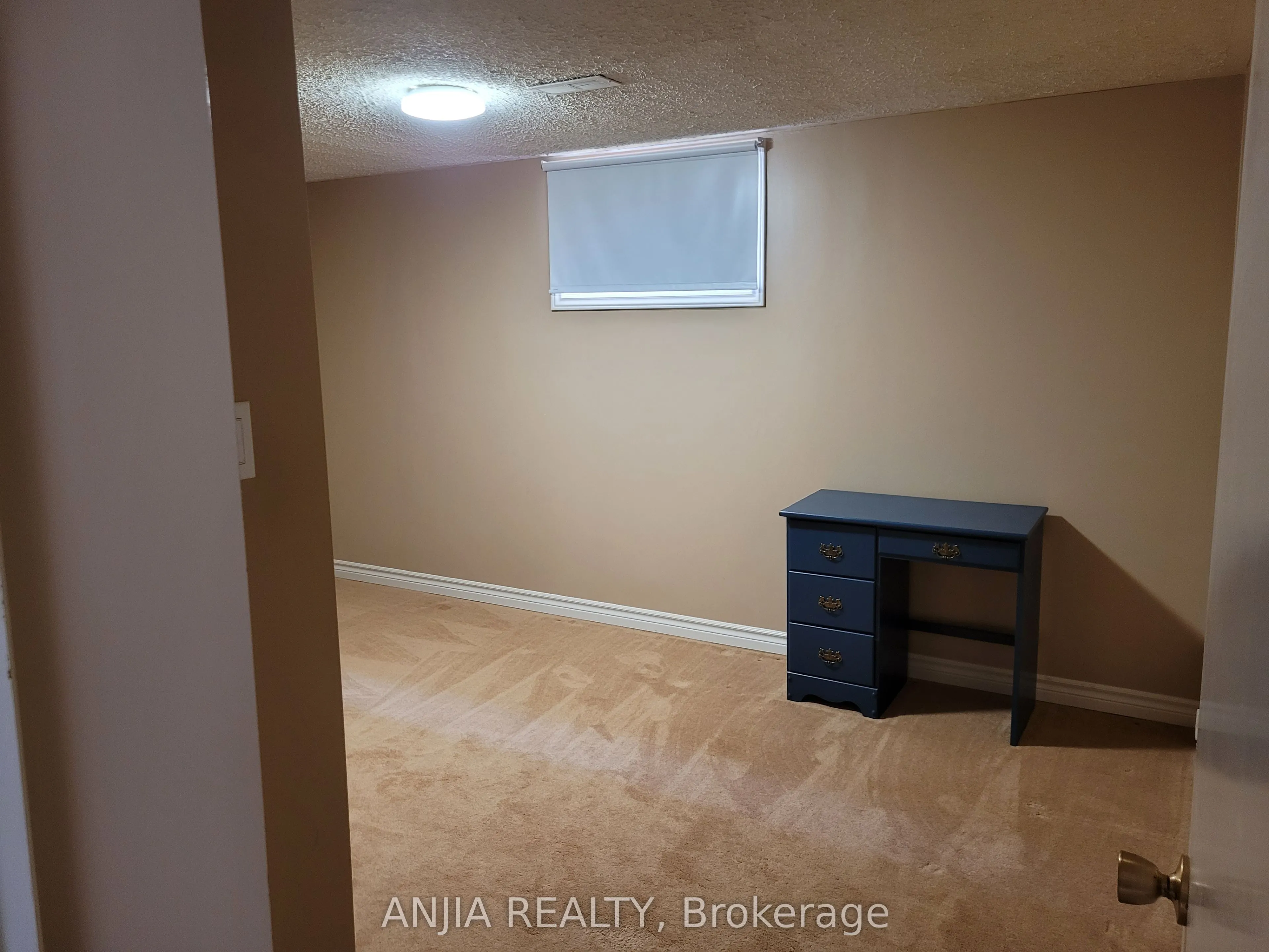 1299 Shamir Crescent #Basement