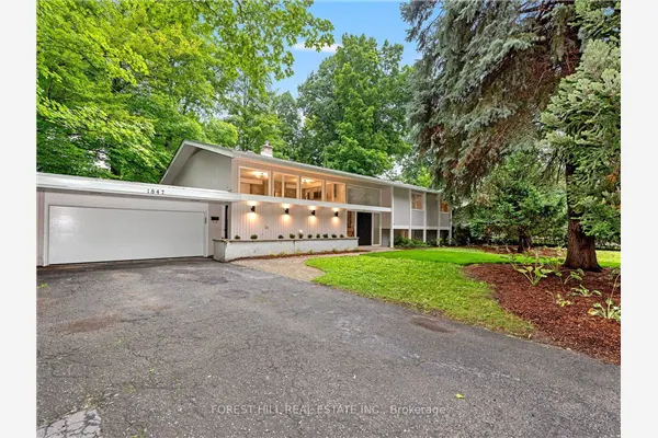 1847 Will Scarlett Drive