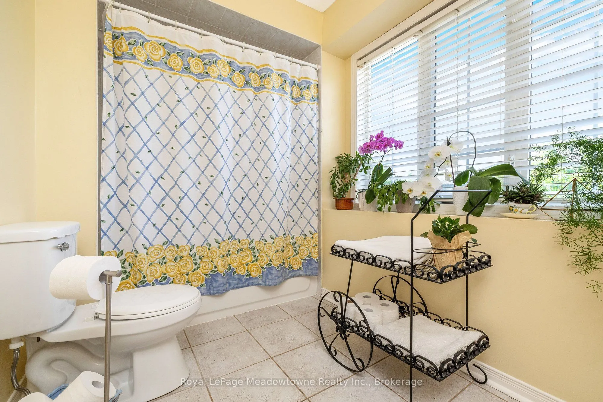 248 Pettigrew Trail