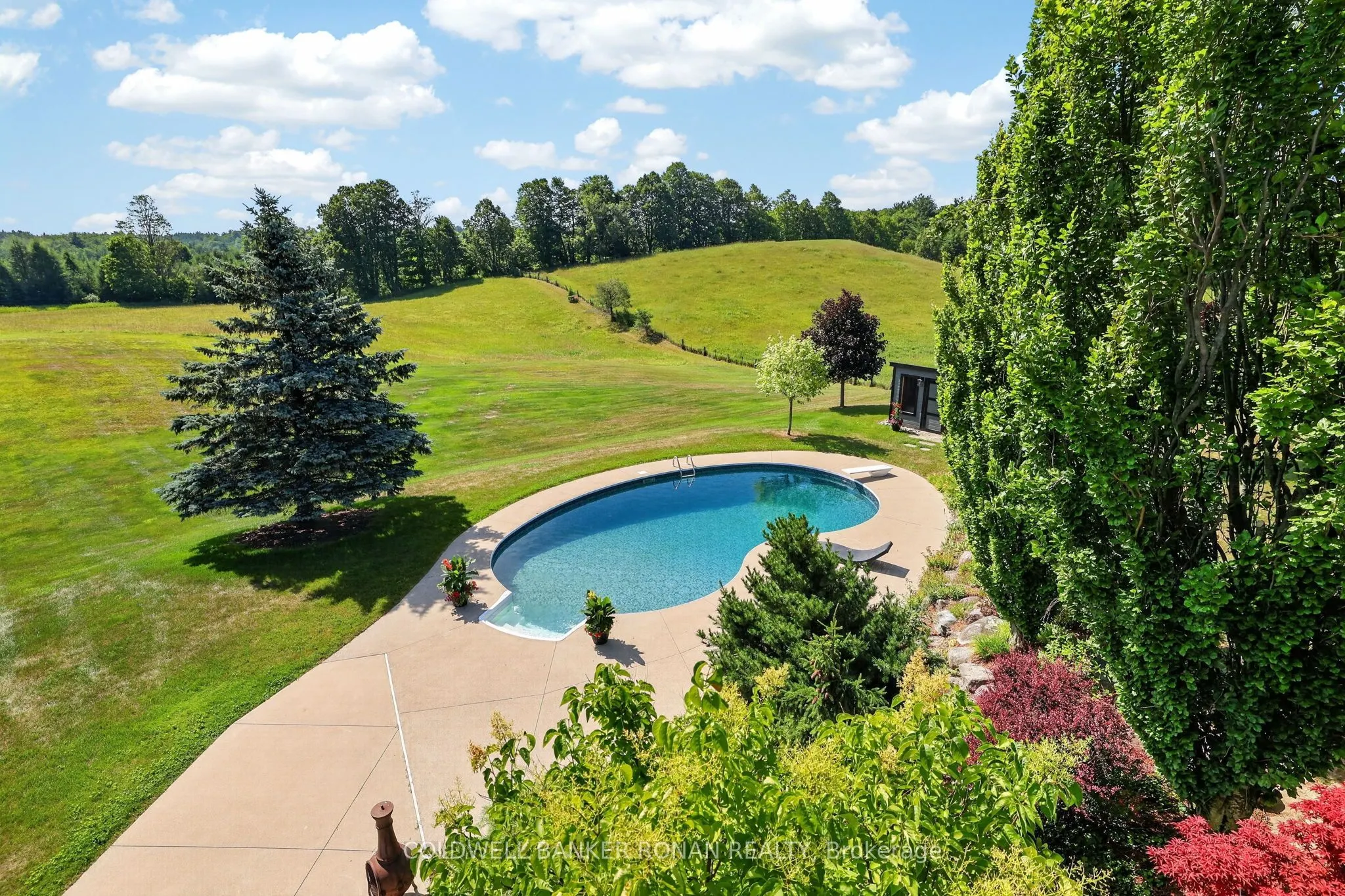 18250 Duffy's Lane