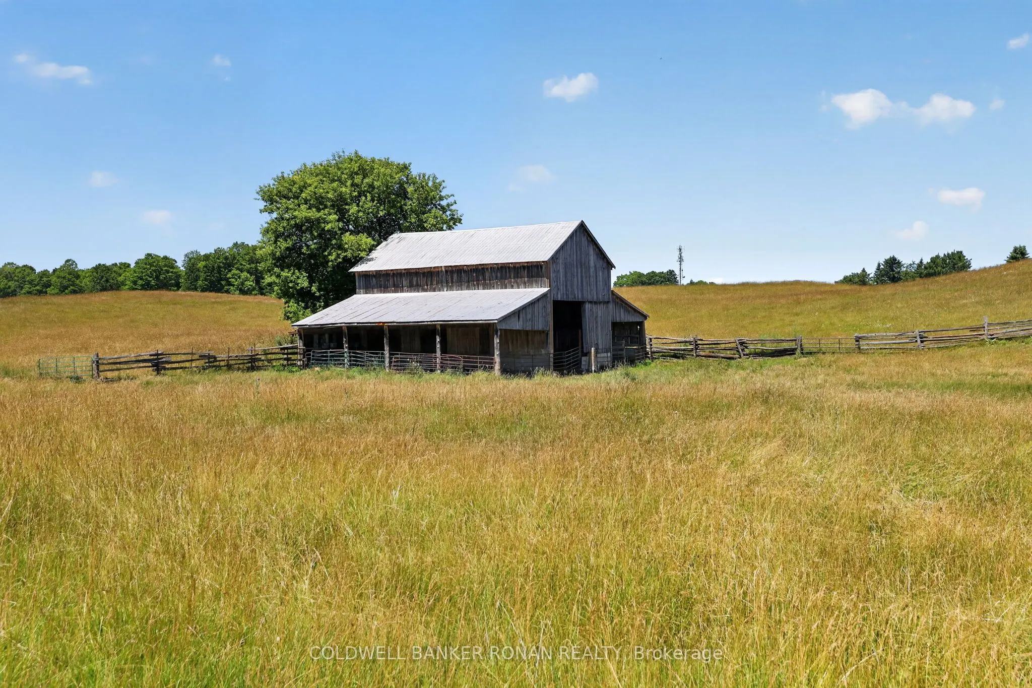 18250 Duffy's Lane