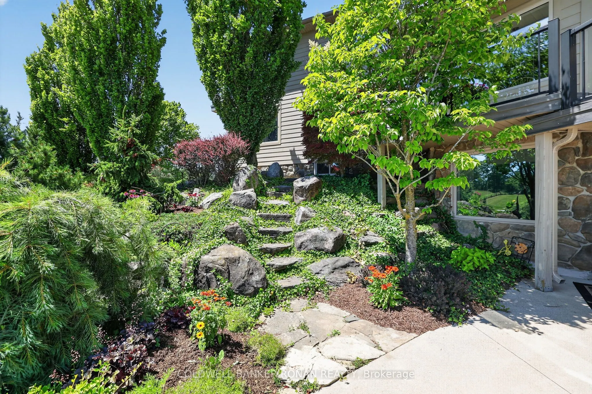 18250 Duffy's Lane