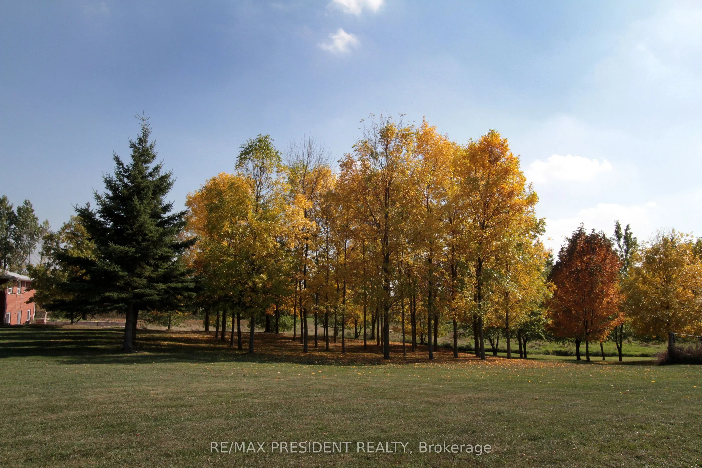 7190 King Street