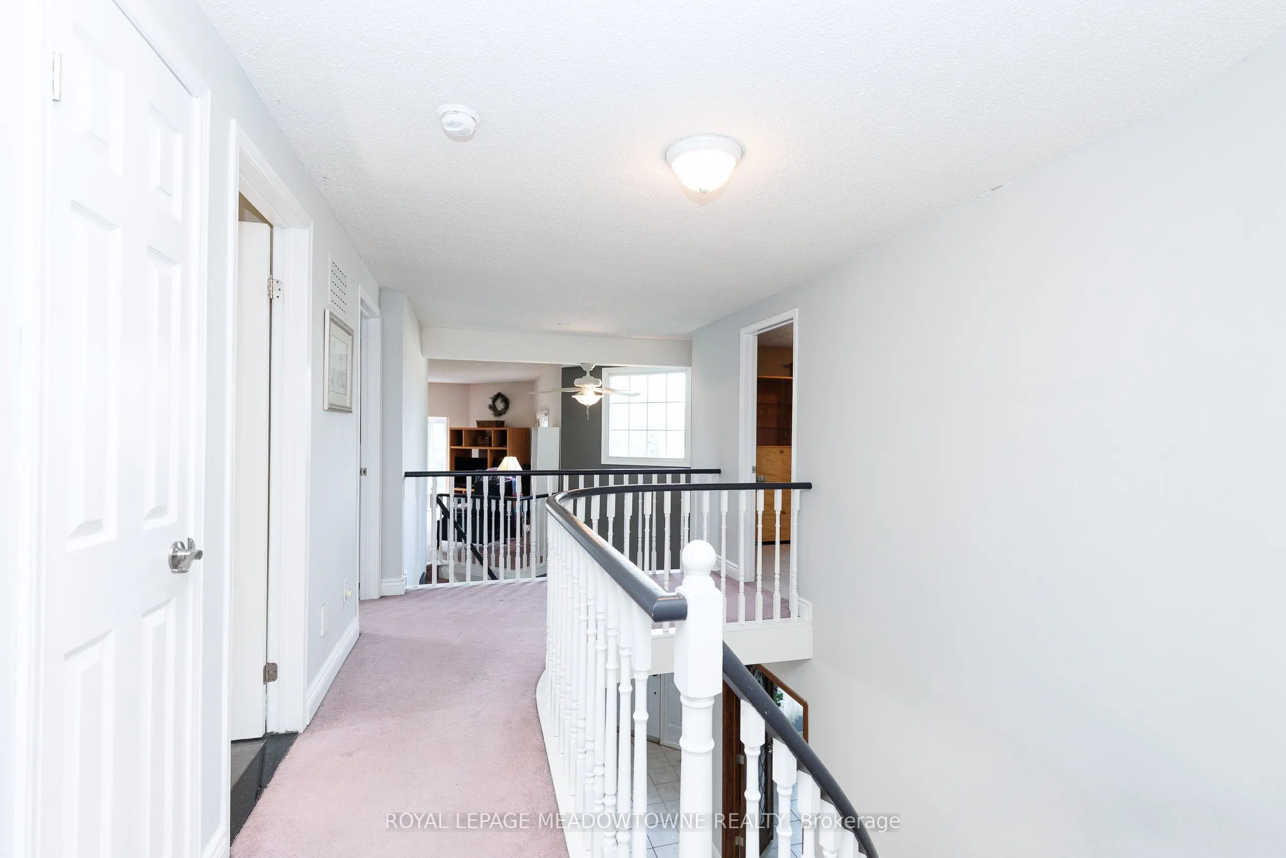 38 Mckillop Court