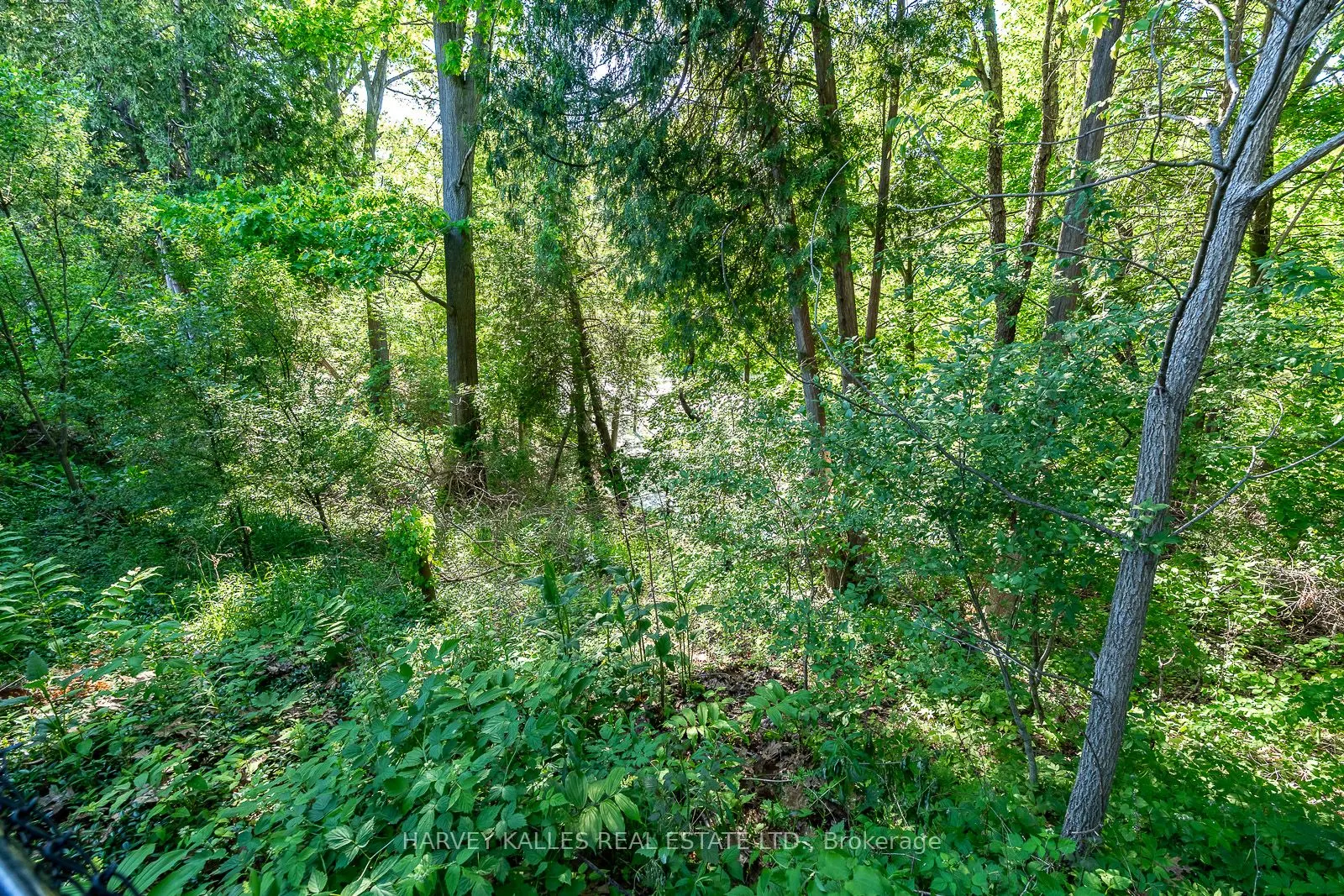 1033 Fair Birch Drive