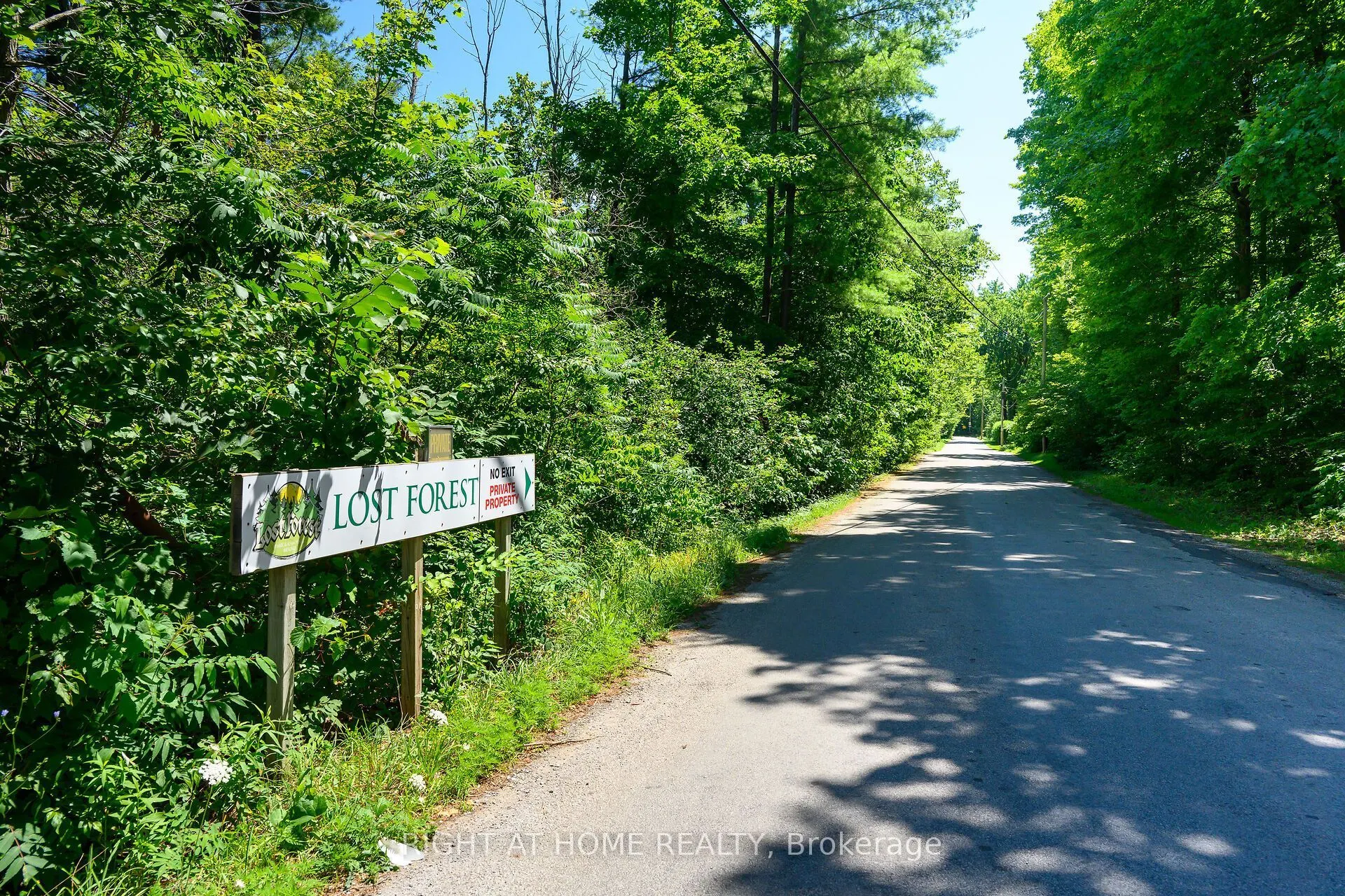 4449 Milburough Line #5 Beech Street