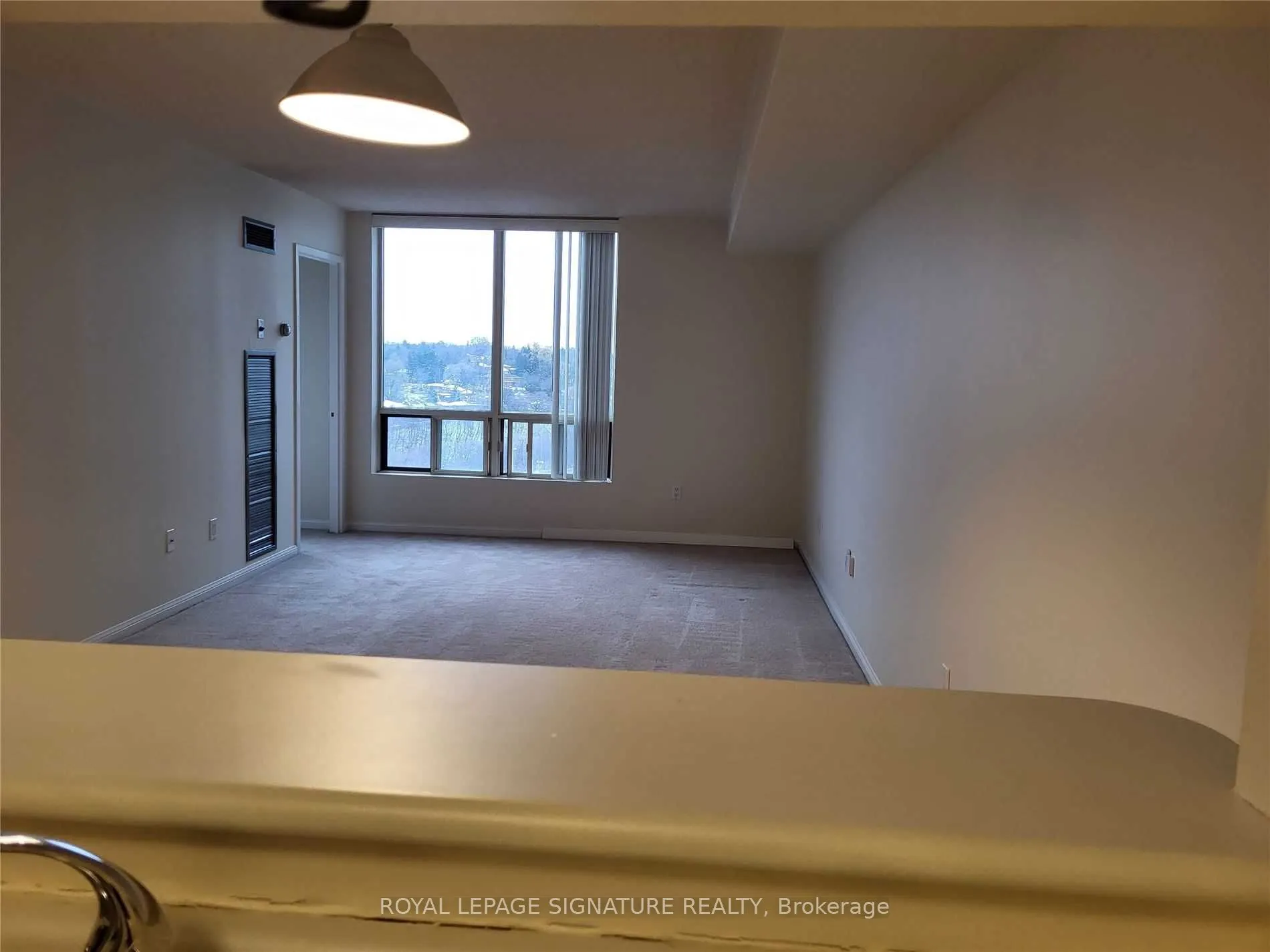 1 Hickory Tree Road #1207