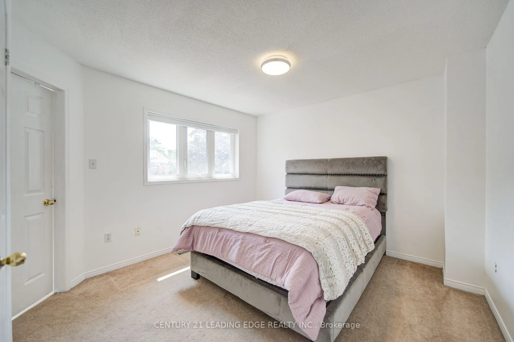 550 Steddick Court #50