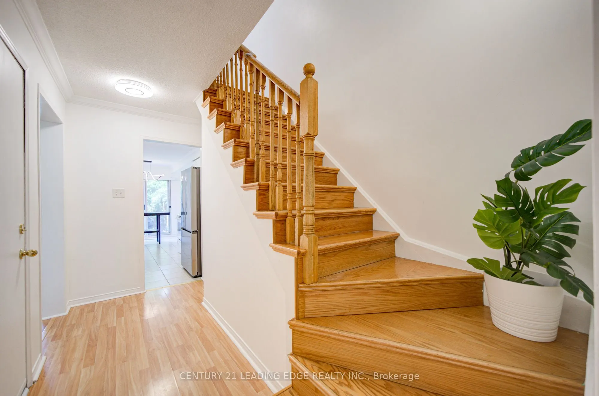 550 Steddick Court #50