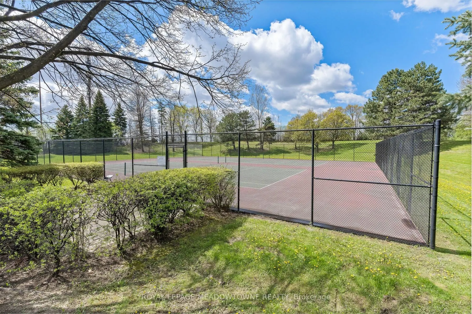 10 Laurelcrest Street #104