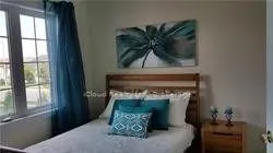 539 Coach Drive