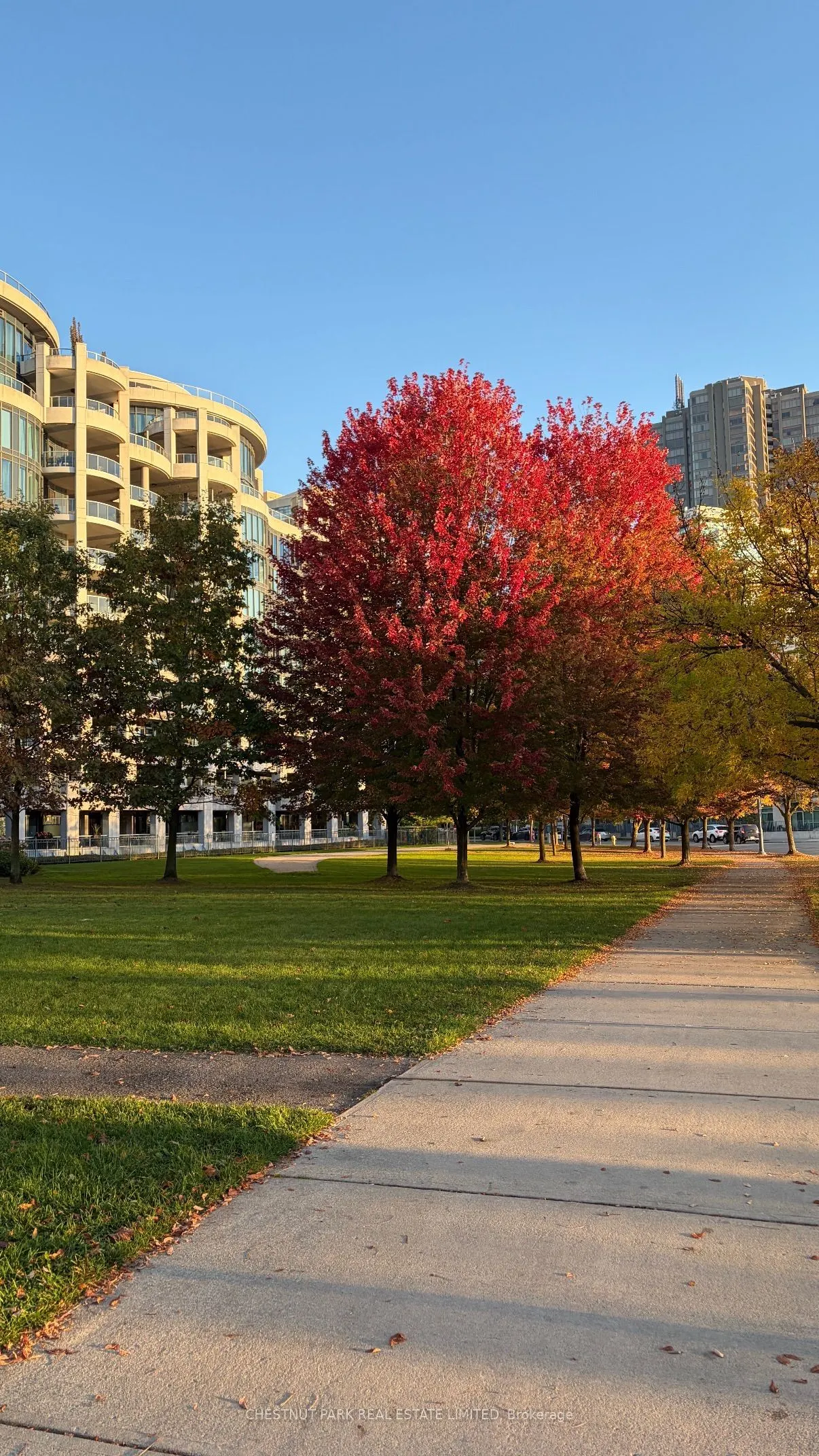 2087 Lake Shore Boulevard W #604