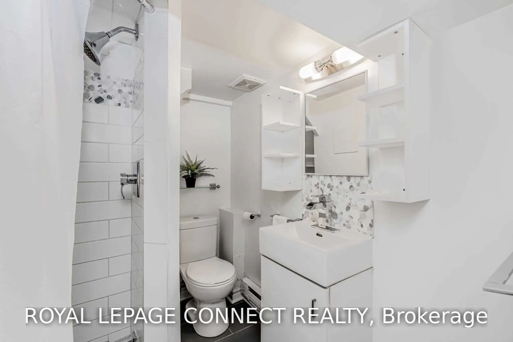 307 Pacific Avenue #Lower