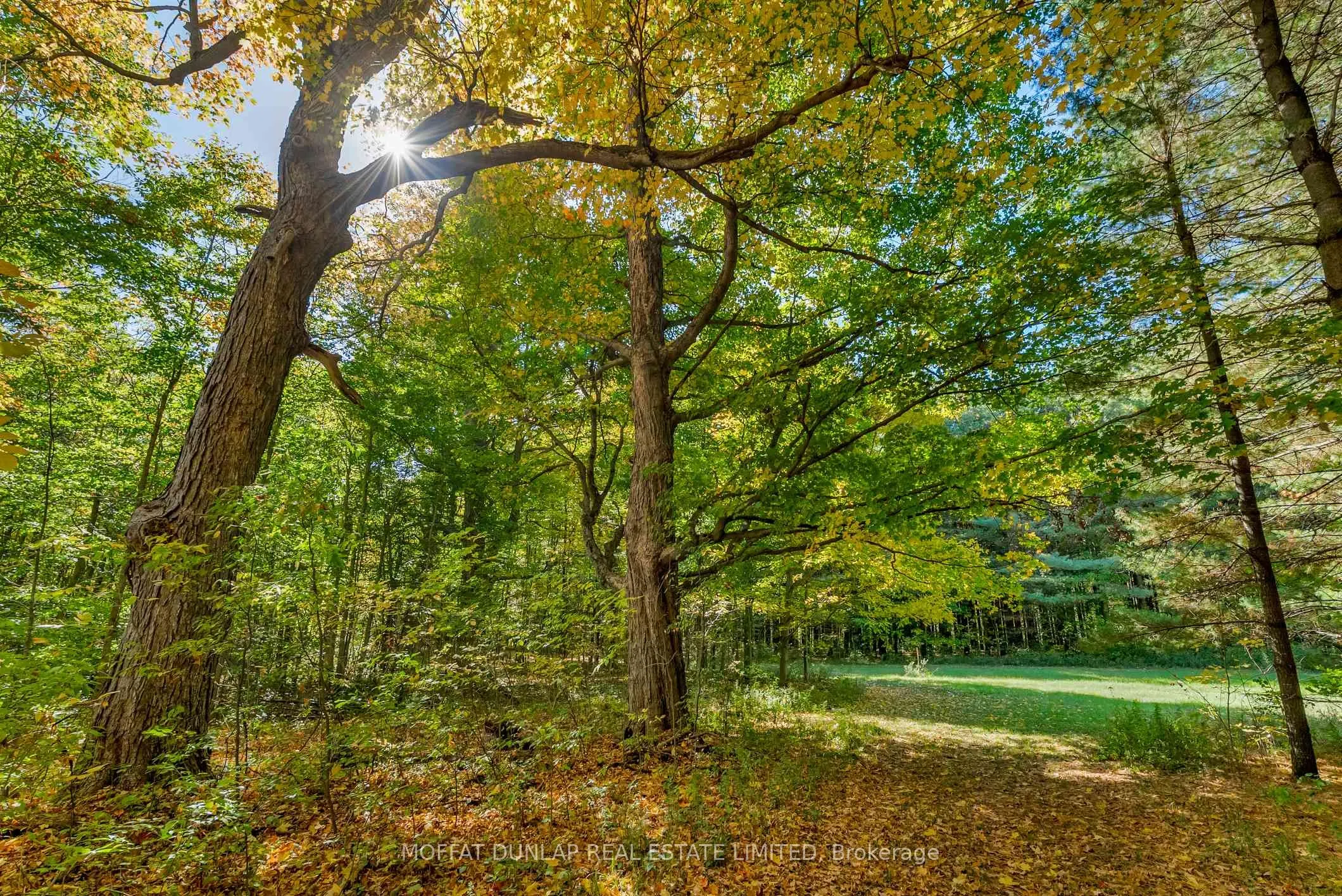 15910 Mississauga Road