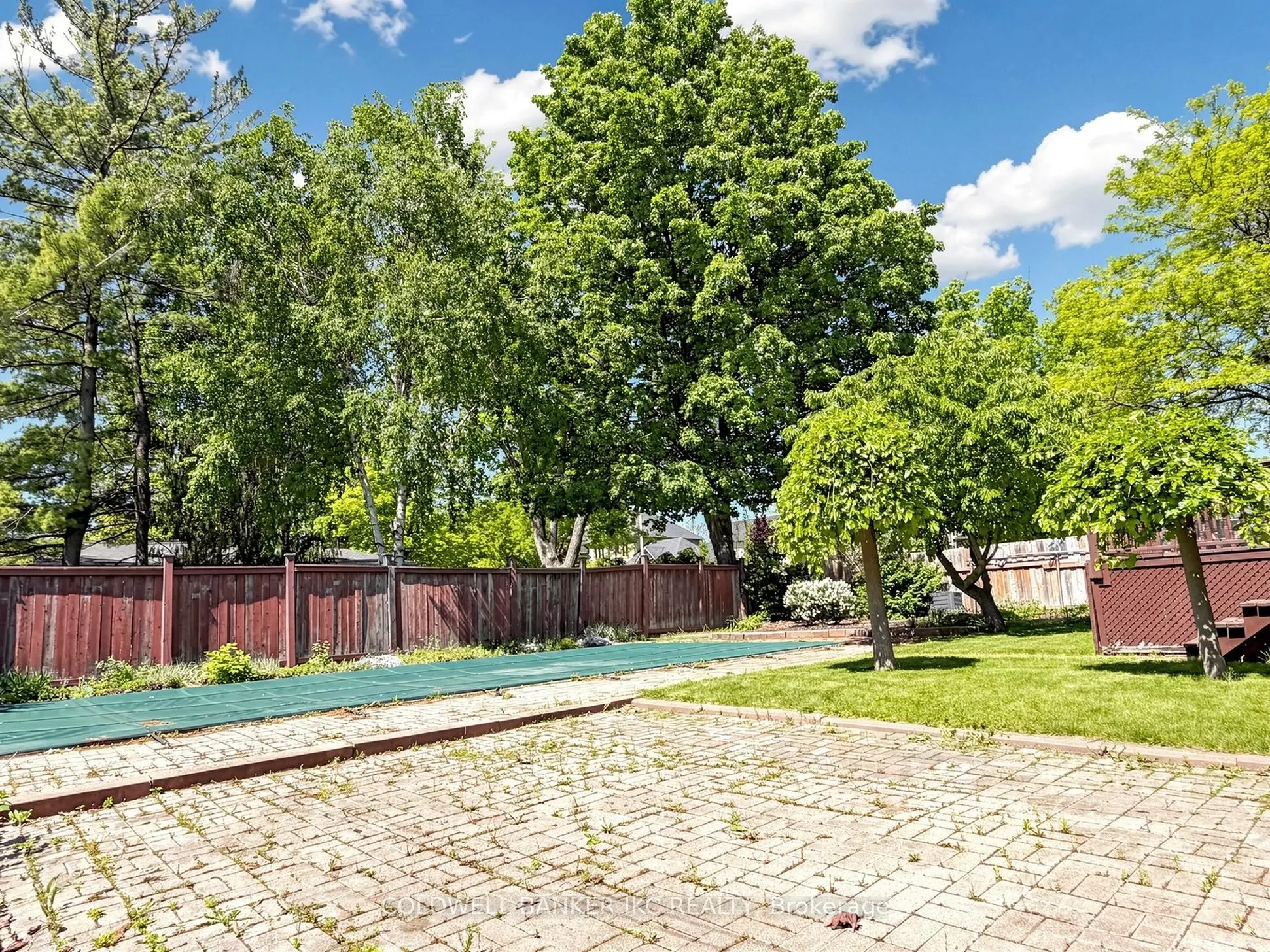 2220 Springfield Court