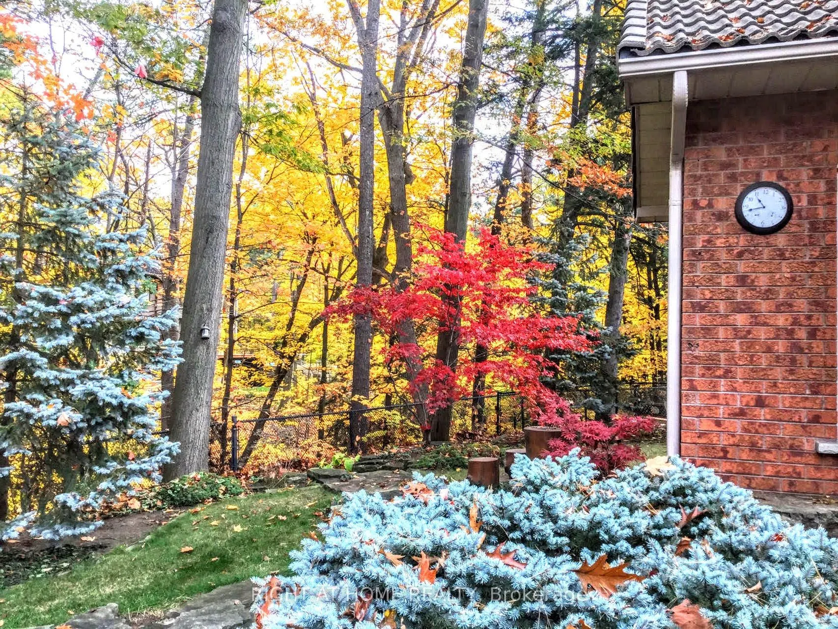 2175 Oneida Court