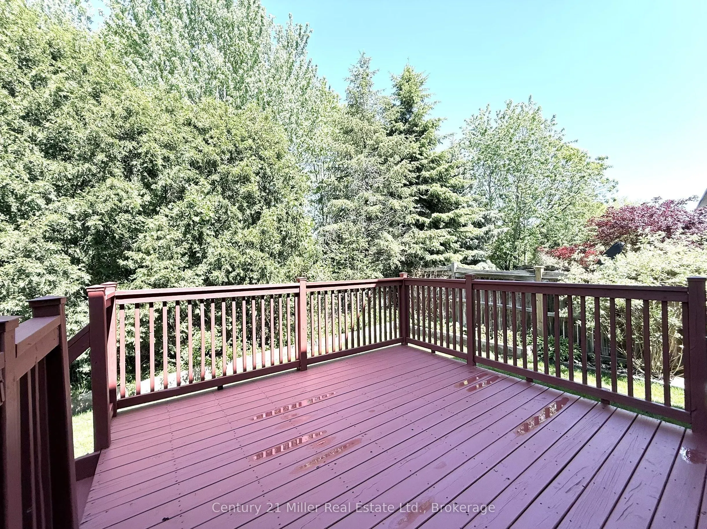 2241 Adirondak Trail