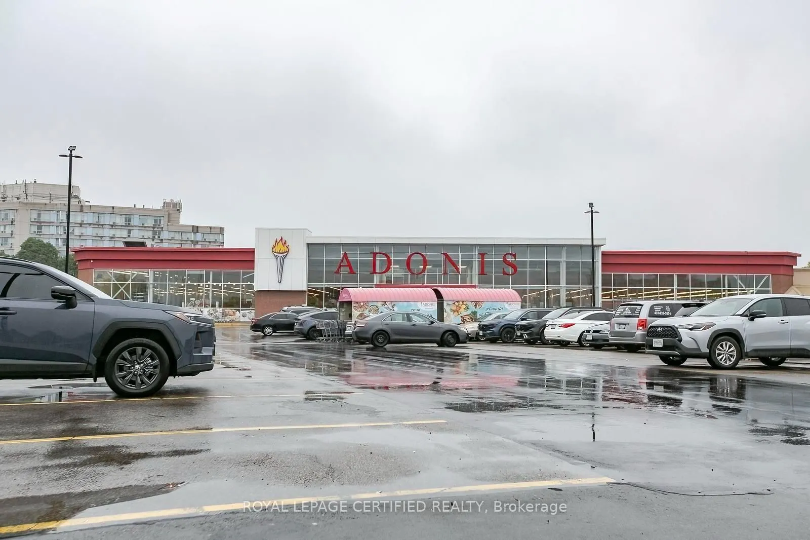 1252 Eglinton Avenue W #F4