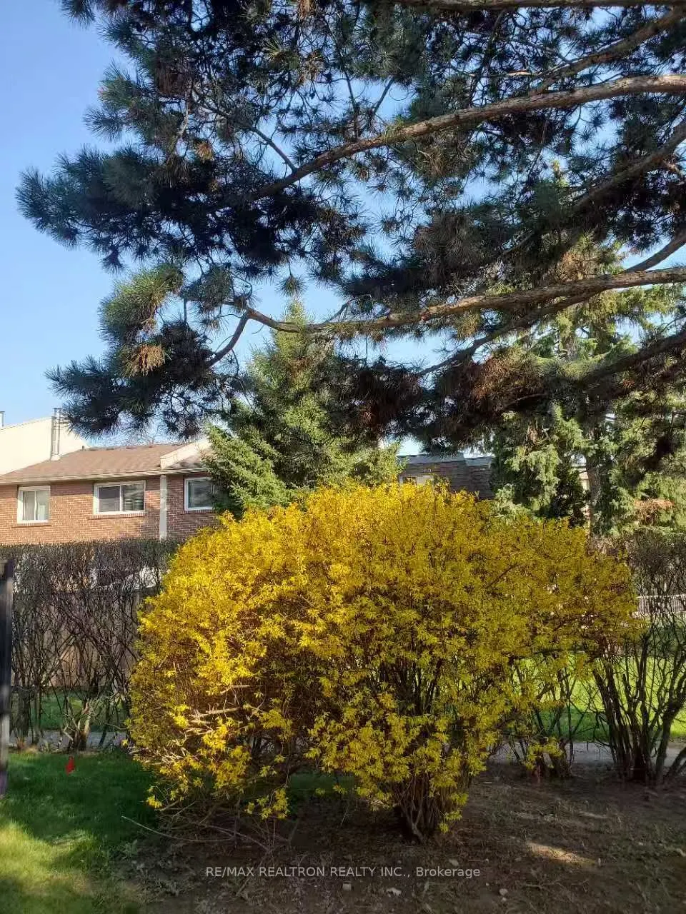 1180 Mississauga Valley Boulevard #100