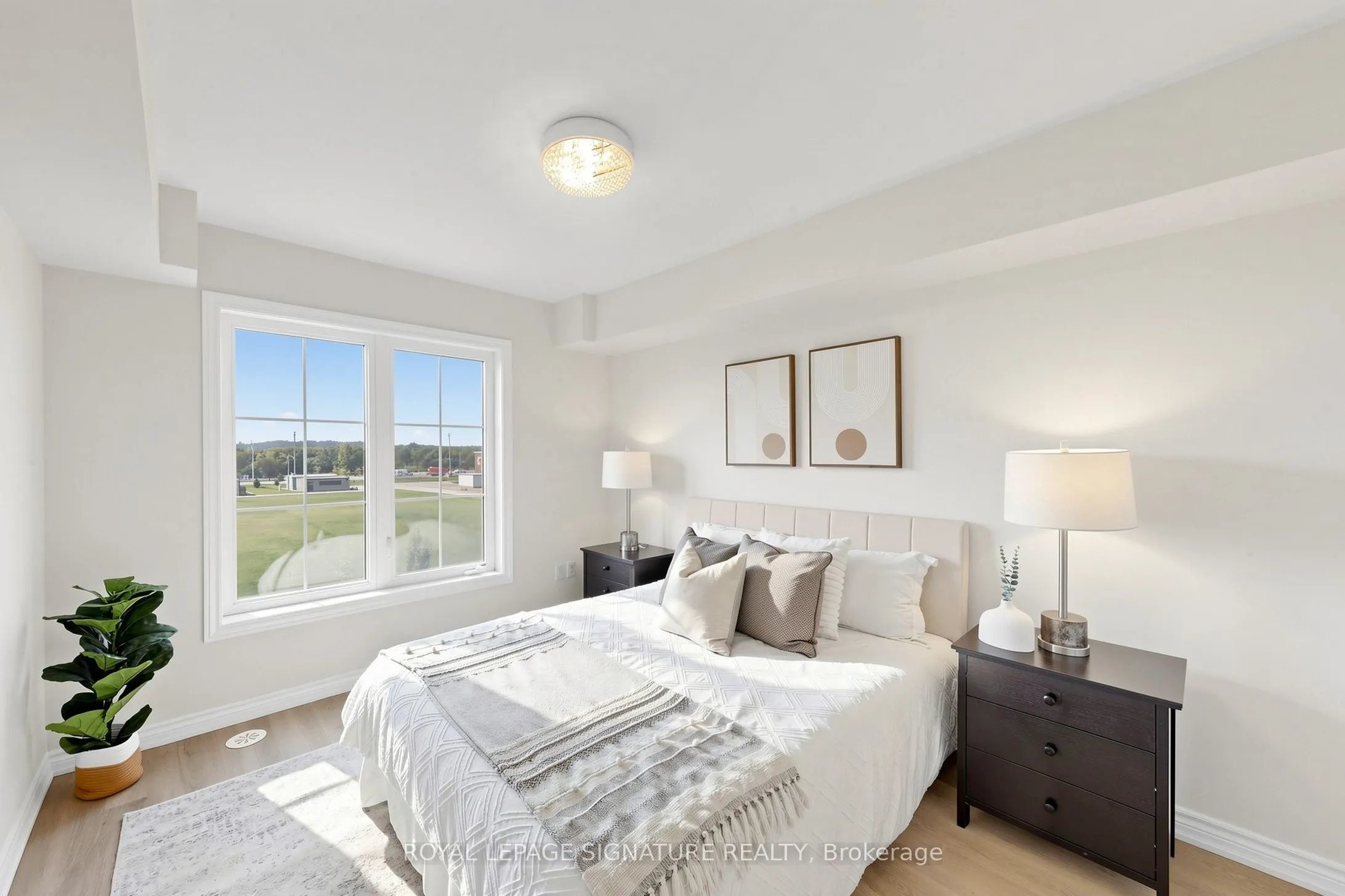2441 Greenwich Drive #11
