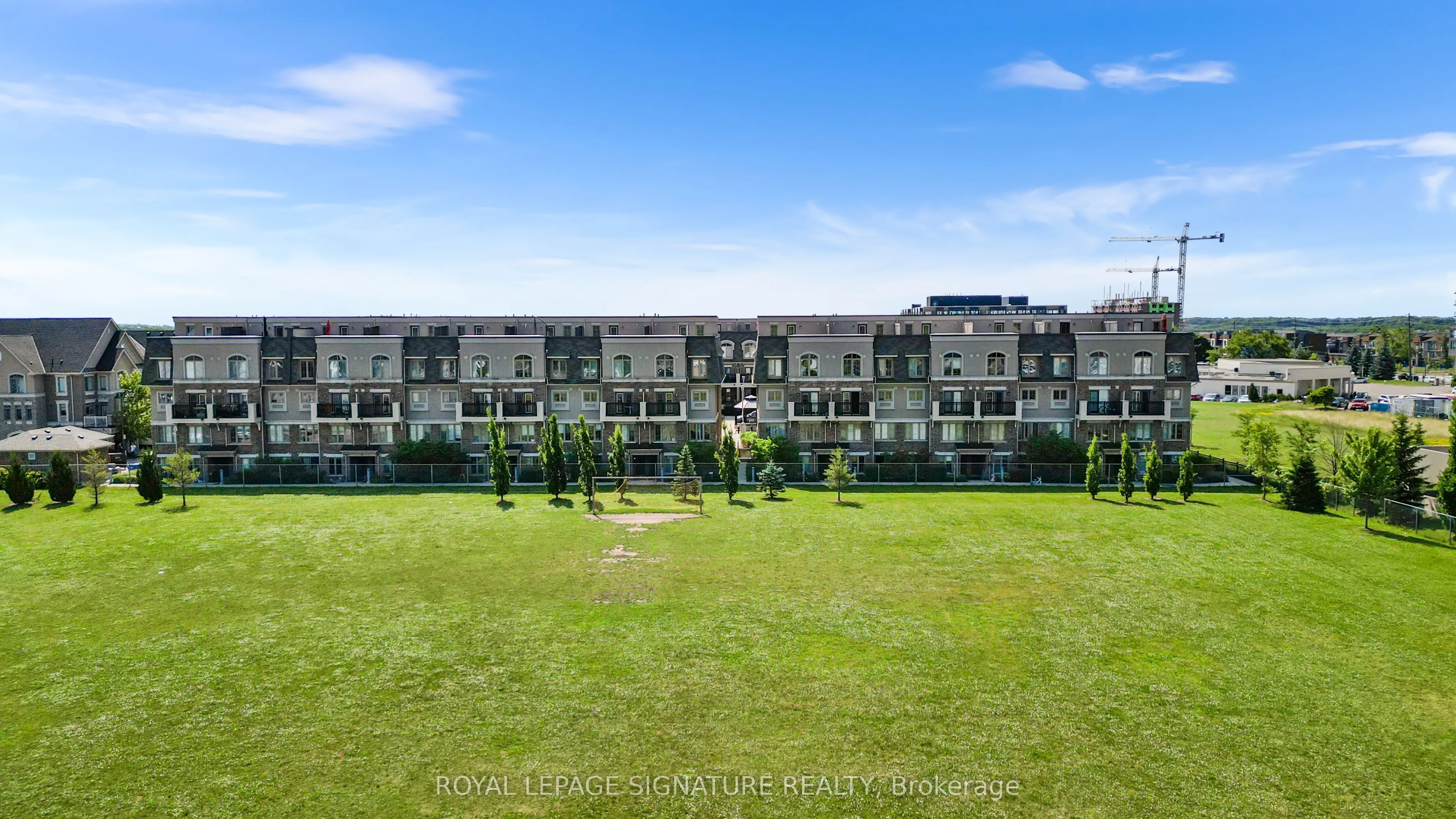 2441 Greenwich Drive #11