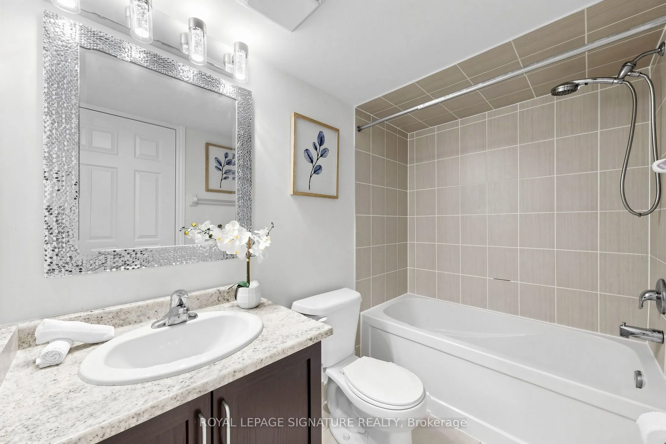 2441 Greenwich Drive #11
