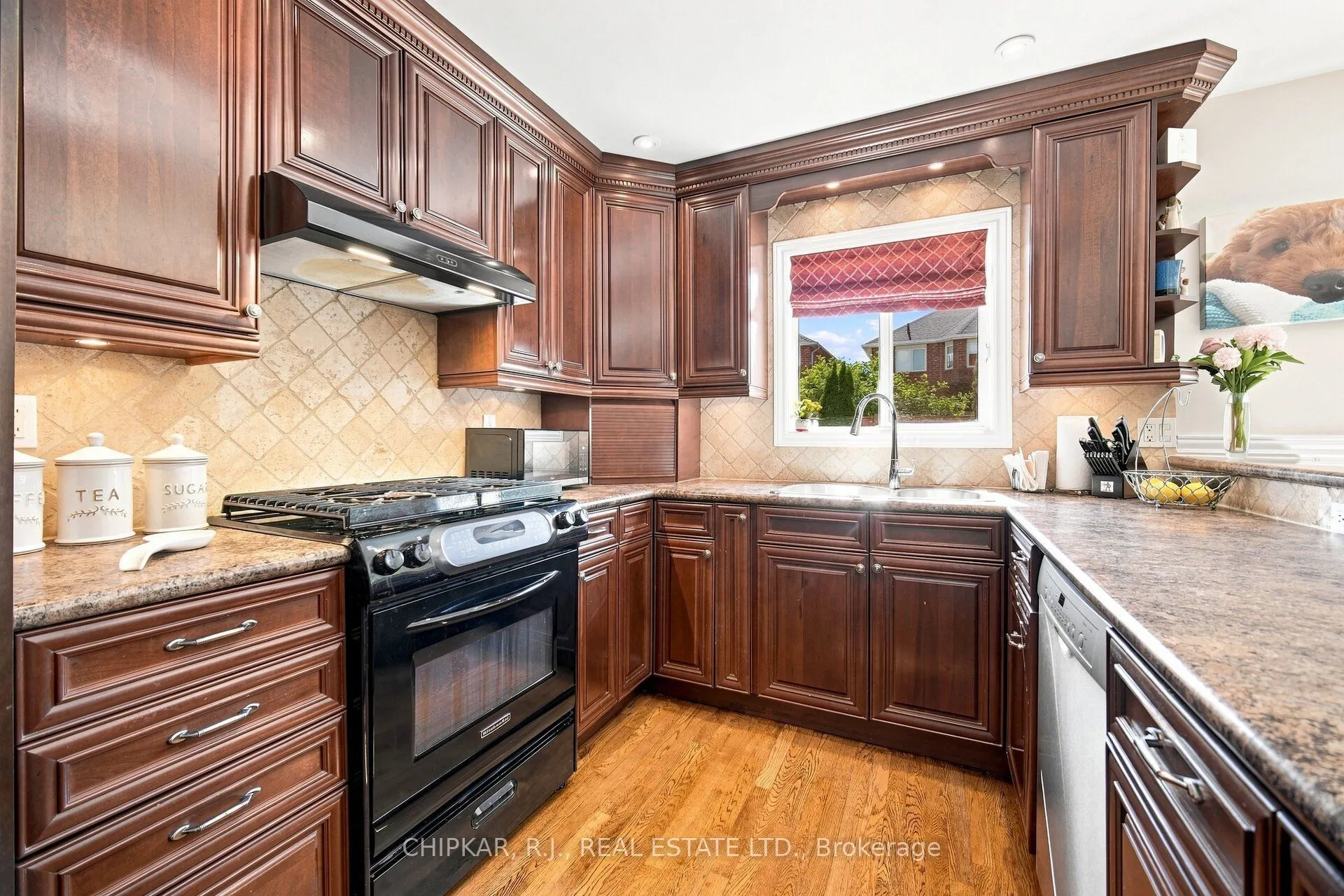 41 Chester Crescent