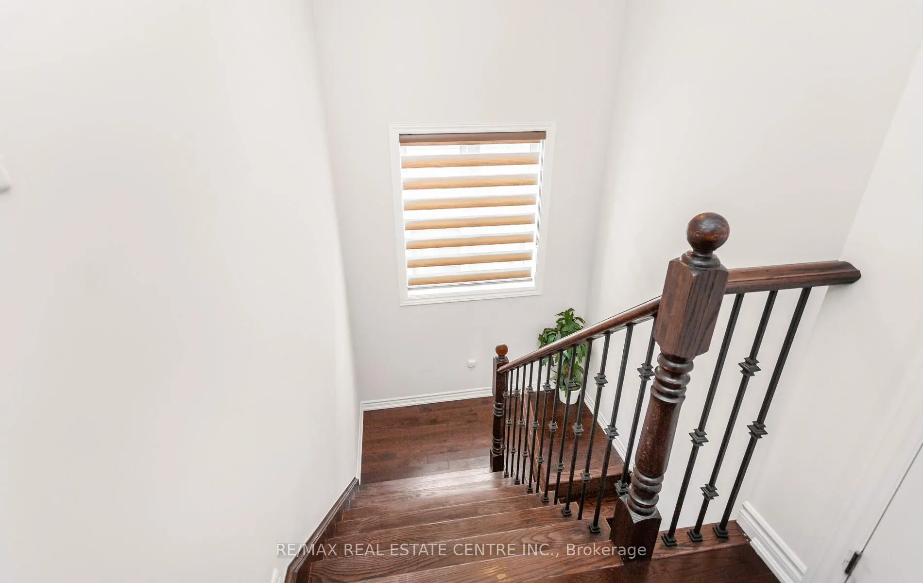 49 Bucksaw Street