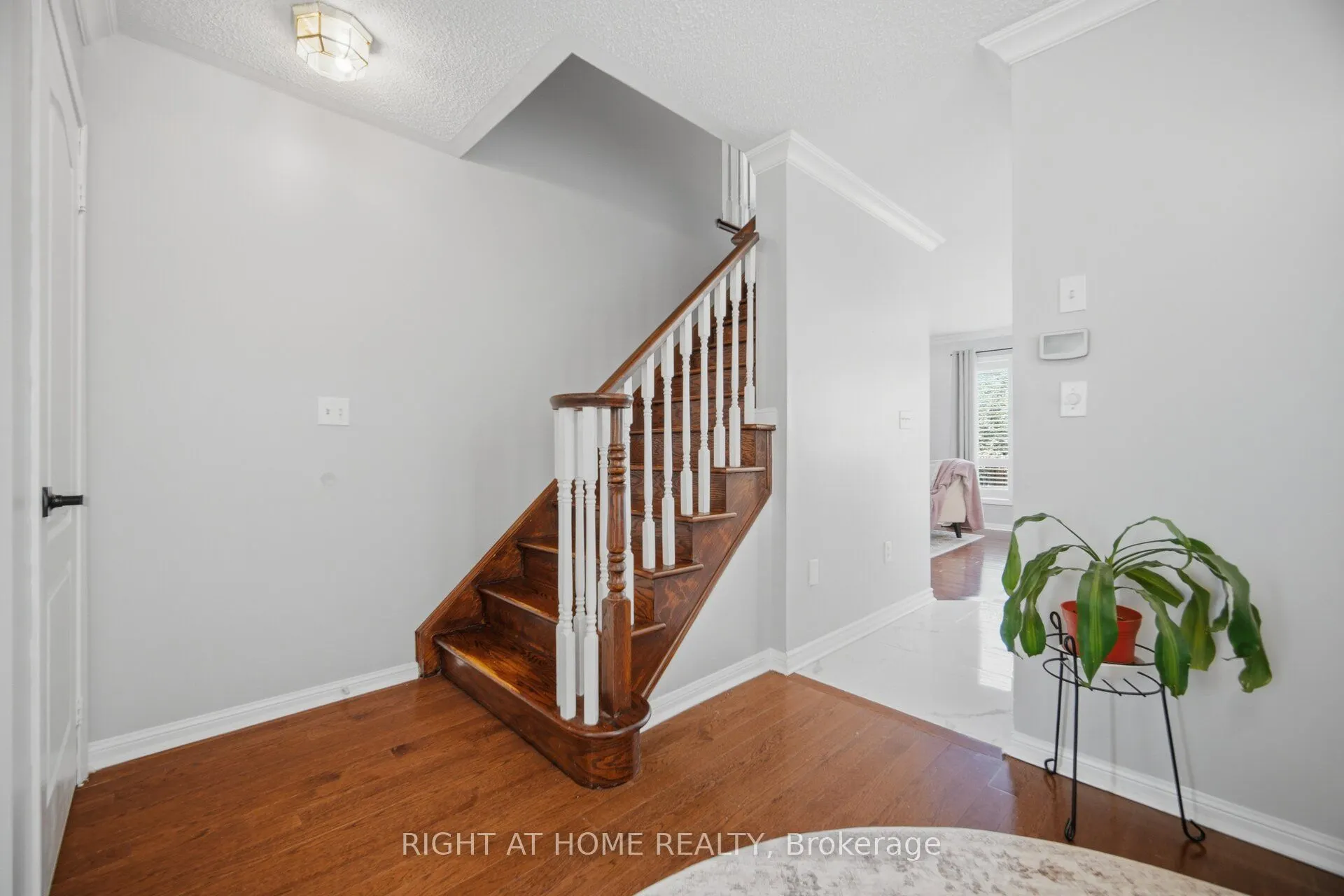 475 Collis Court