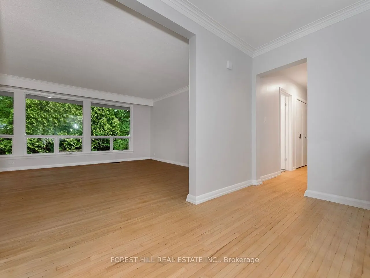 1847 Will Scarlett Drive