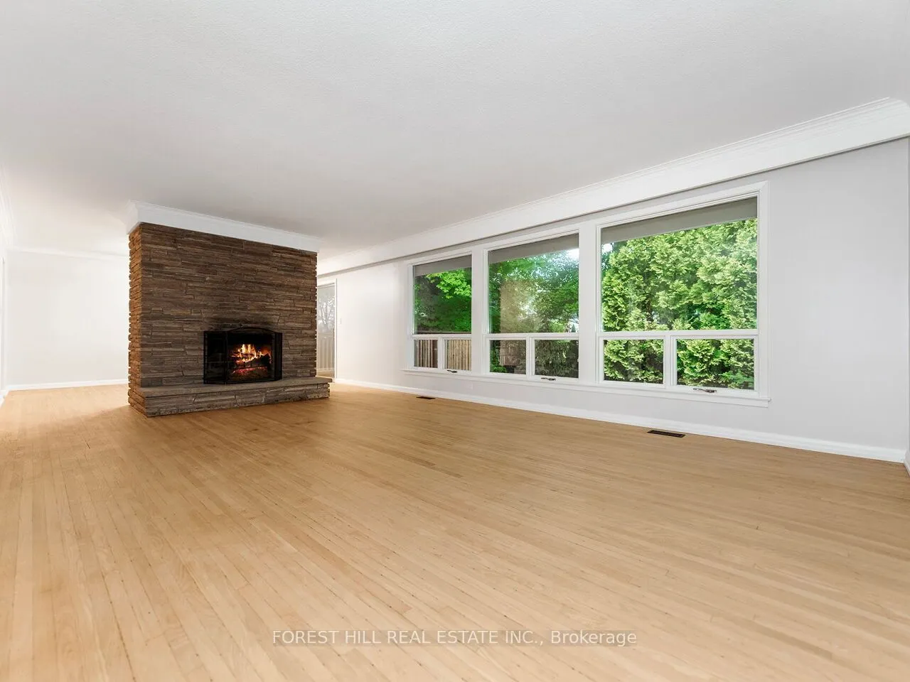 1847 Will Scarlett Drive