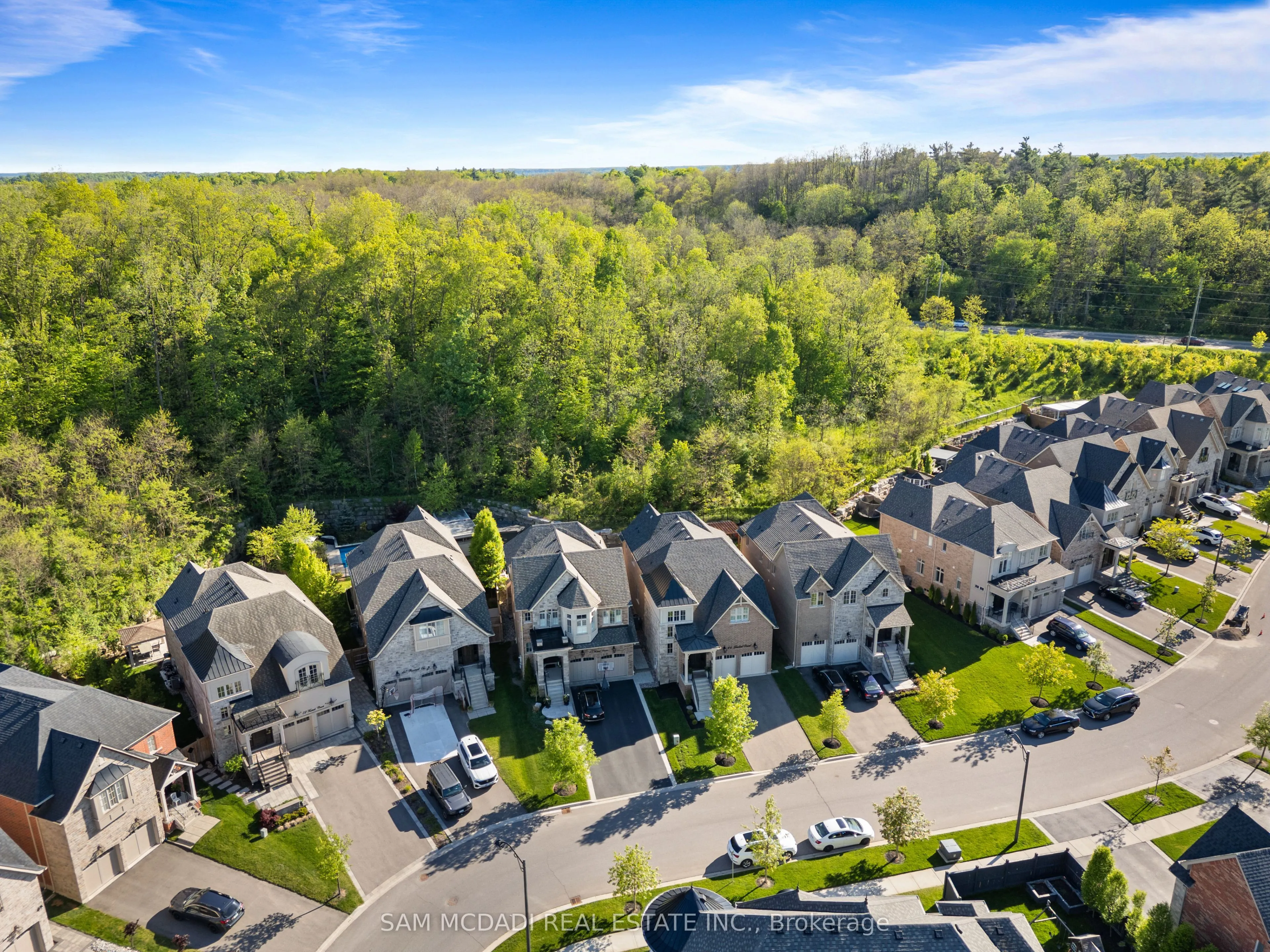 46 Foxtail Court