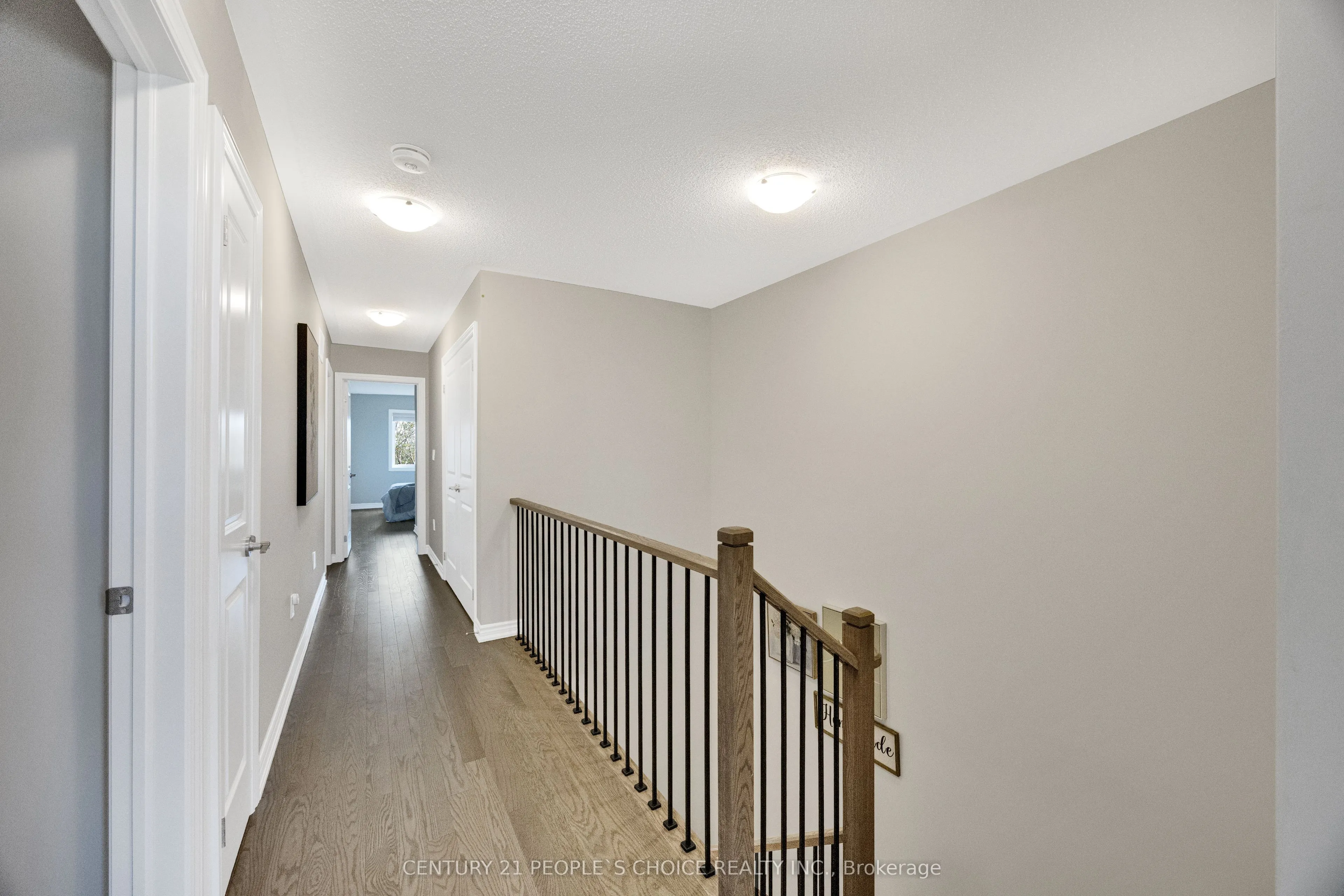543 Celandine Terrace