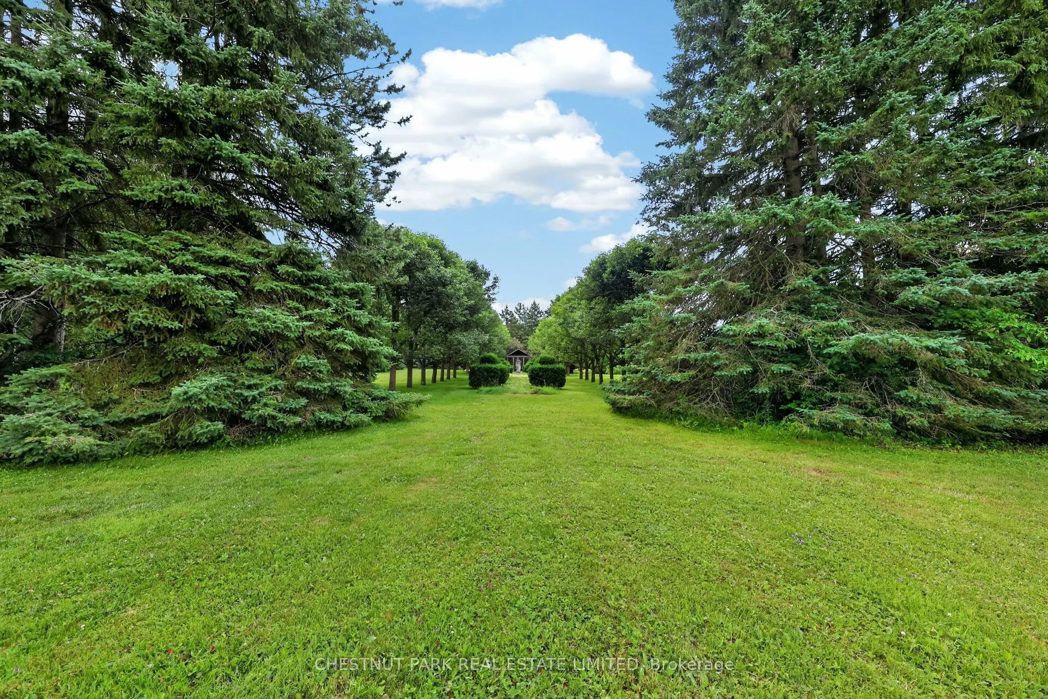 15668 Shaws Creek Road