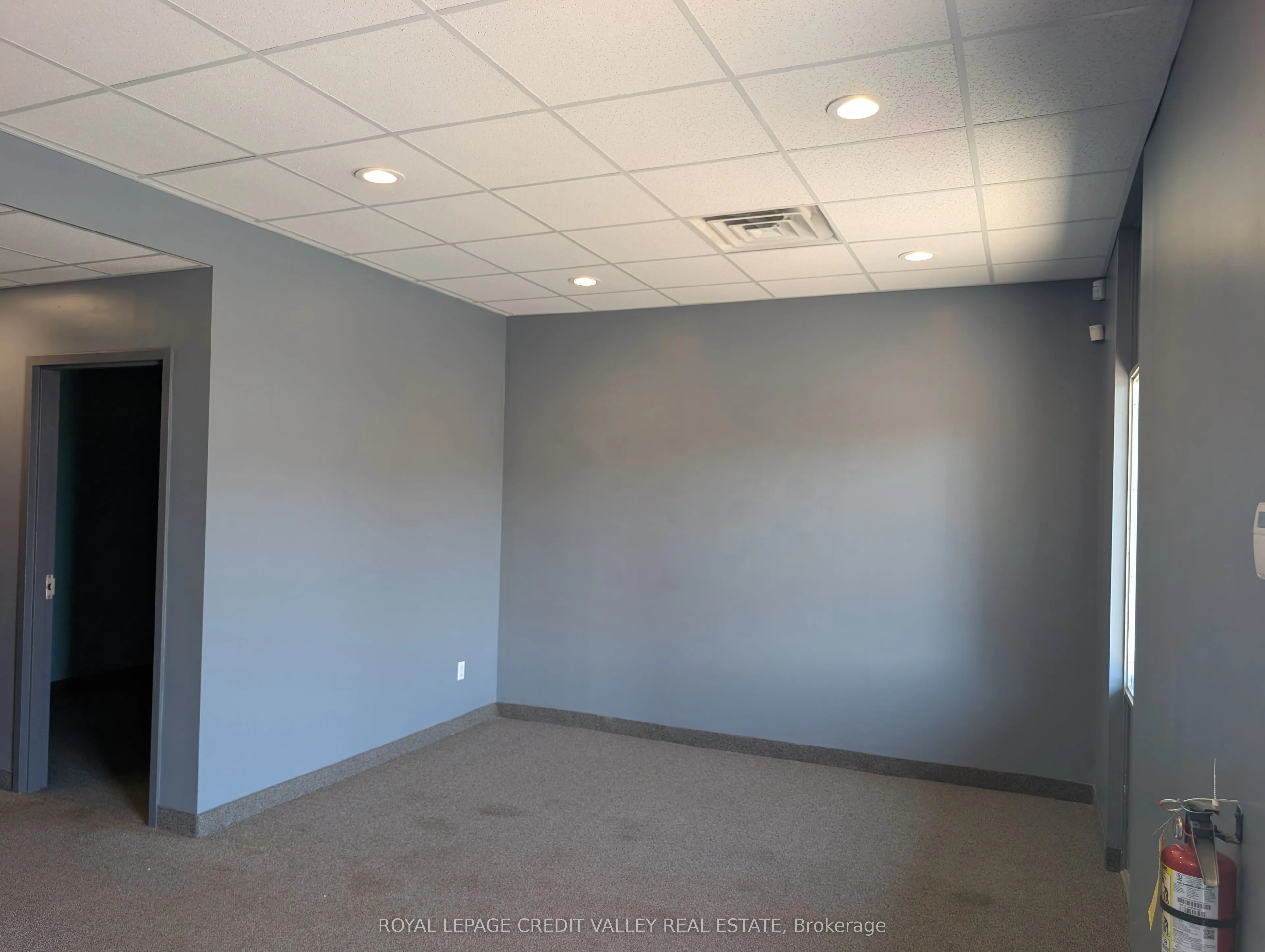 330 Guelph Street #9