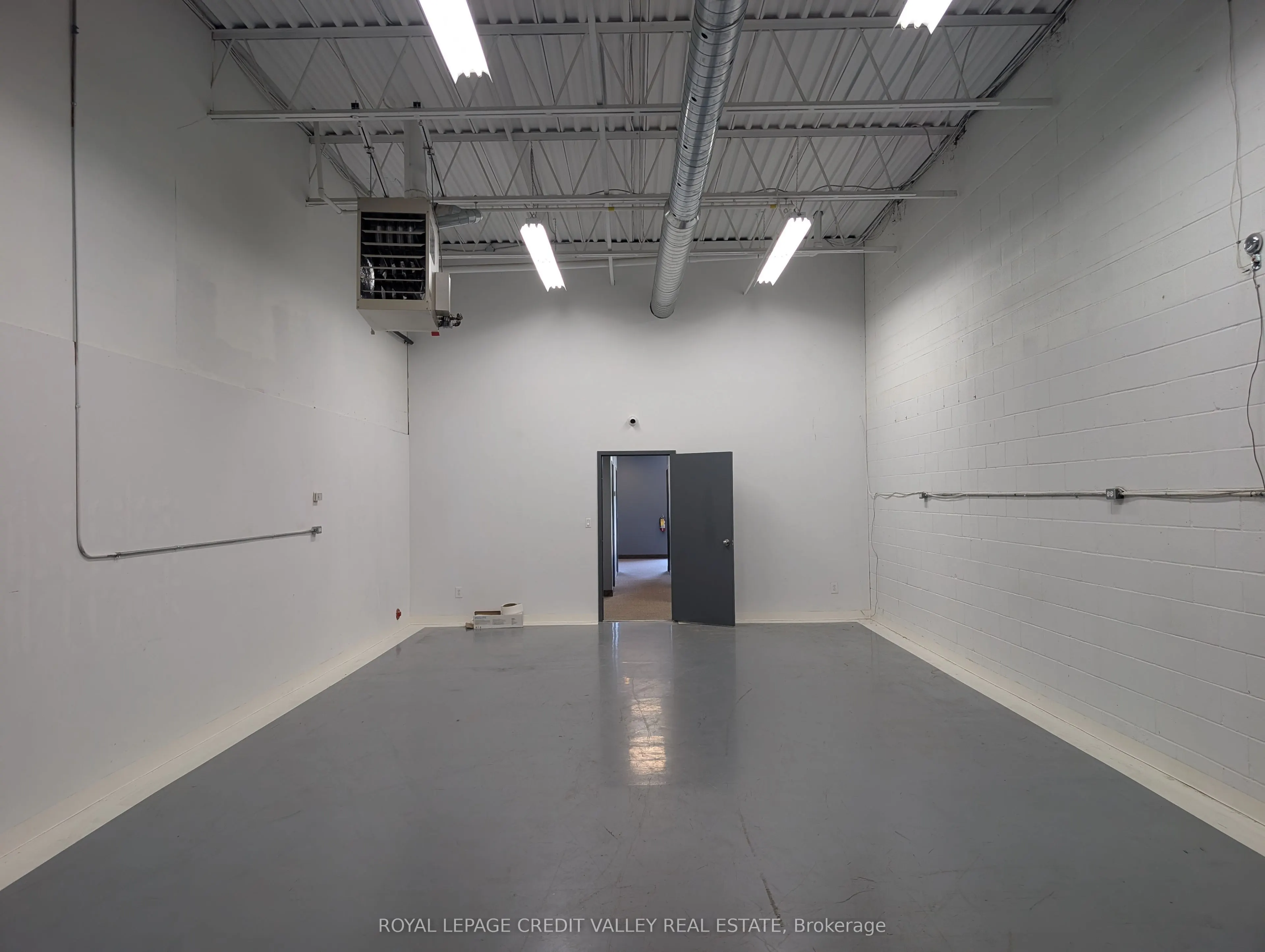 330 Guelph Street #9