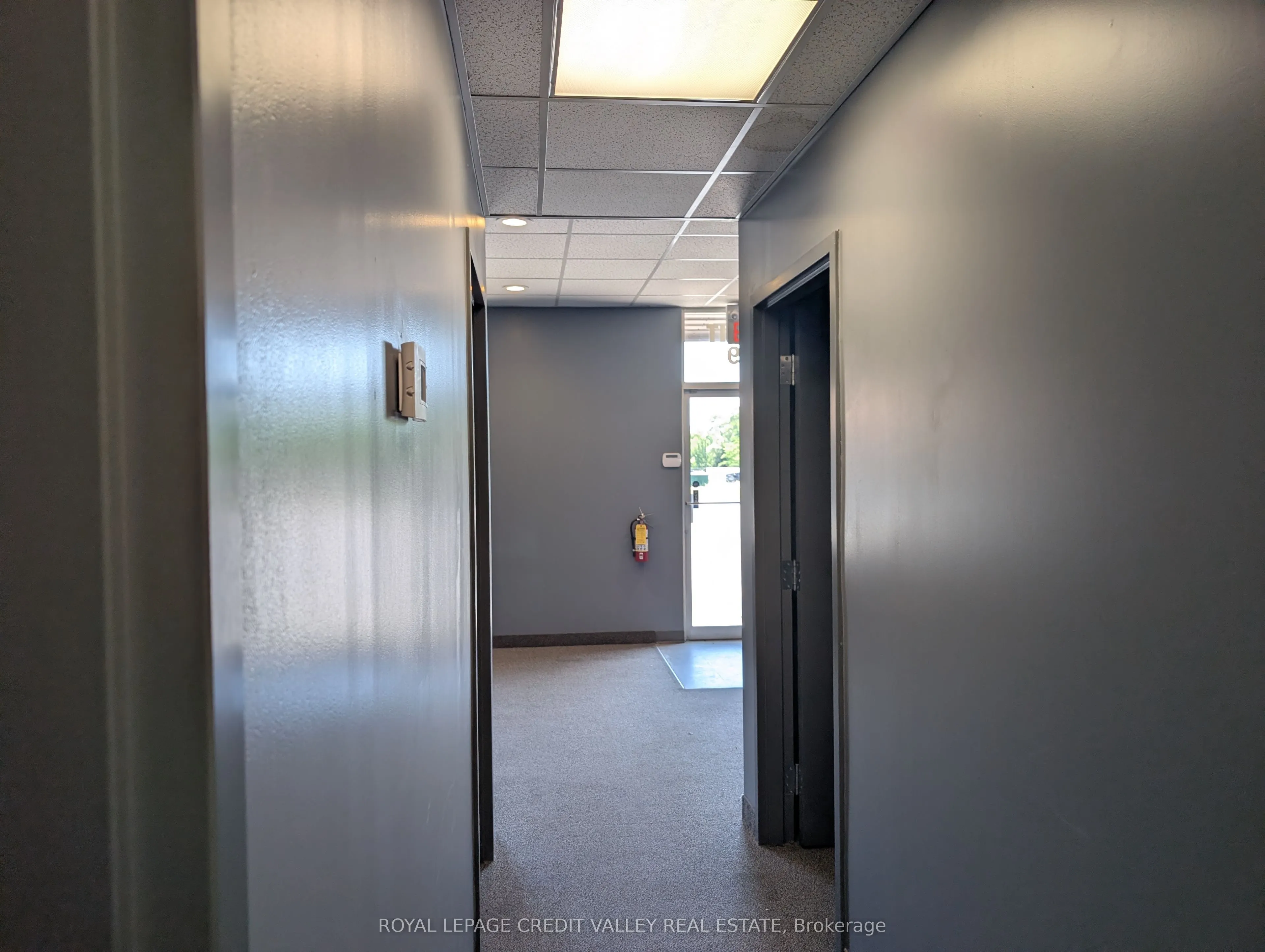 330 Guelph Street #9