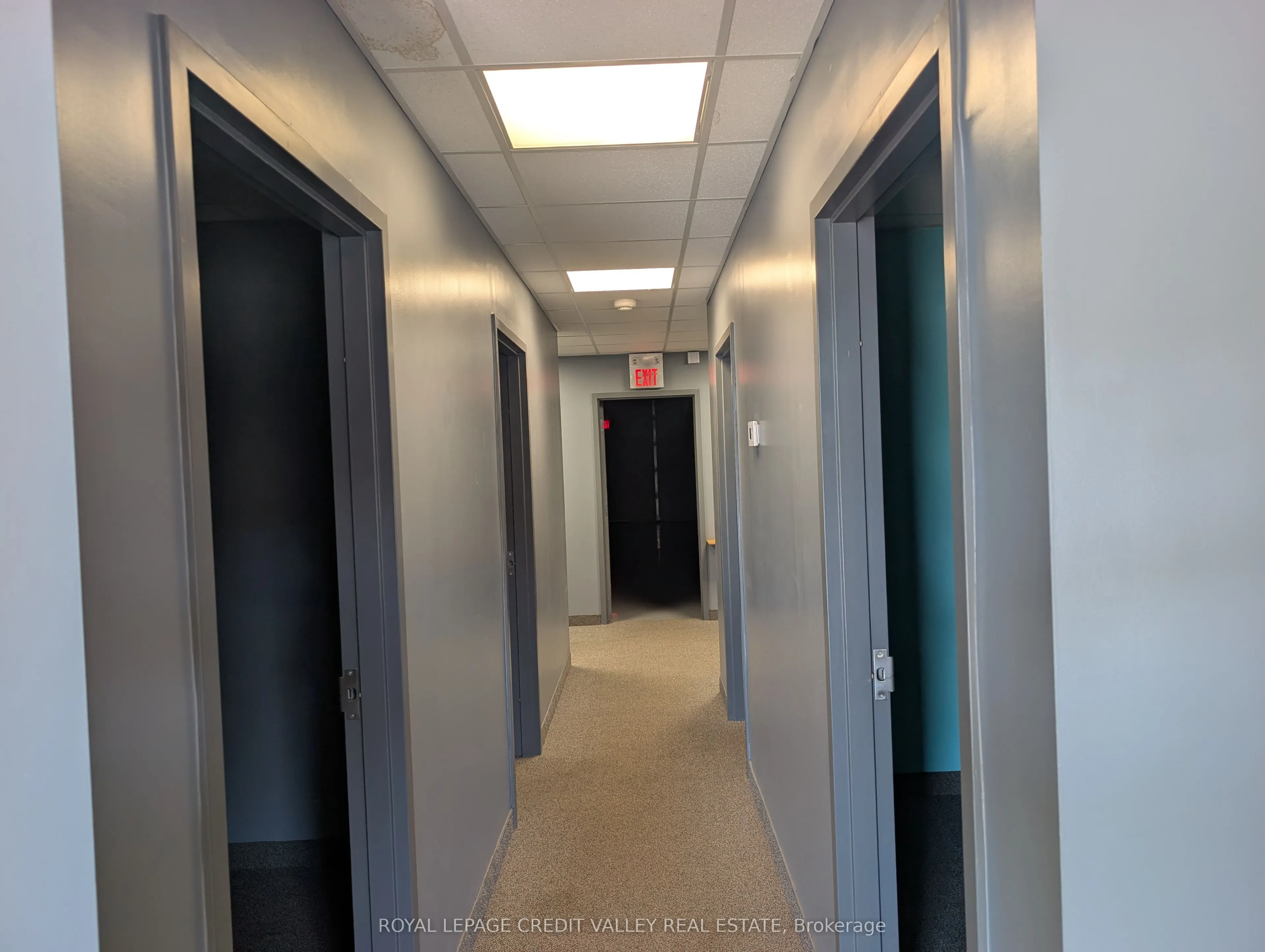 330 Guelph Street #9