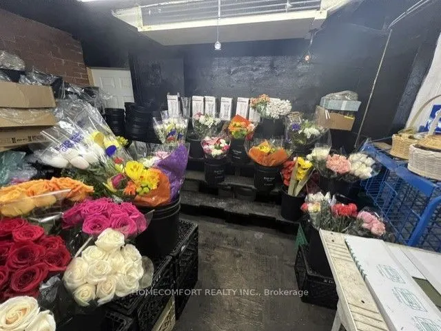 237 Park Lawn Road