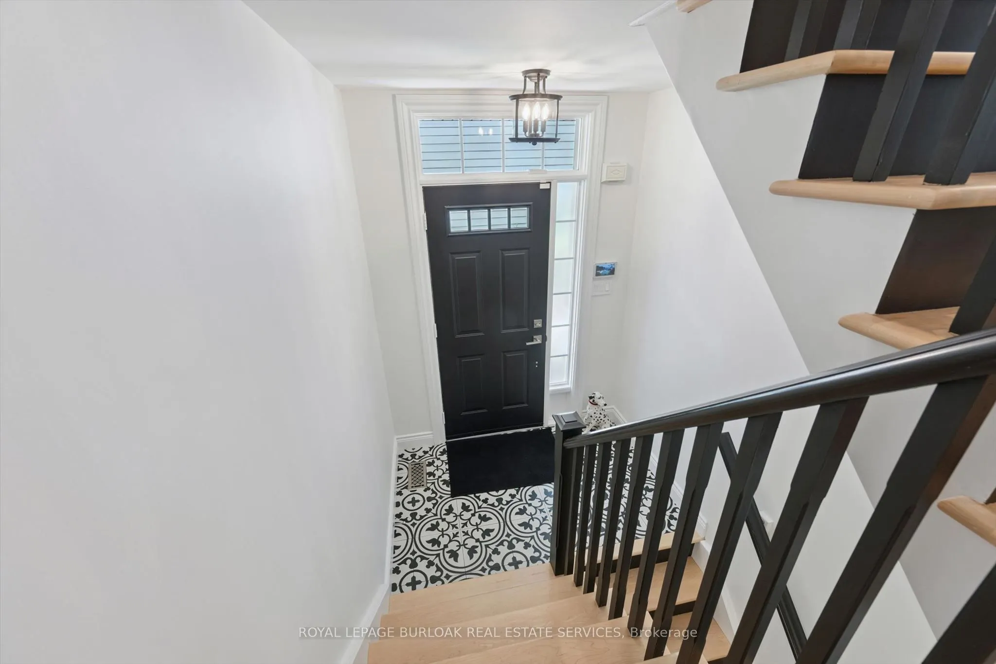263 Plains Road W #5
