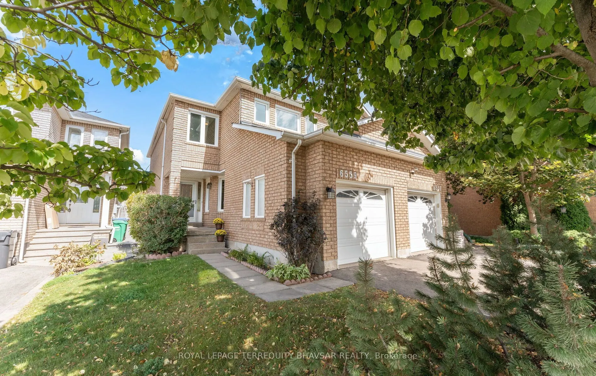 6559 Sapling Trail