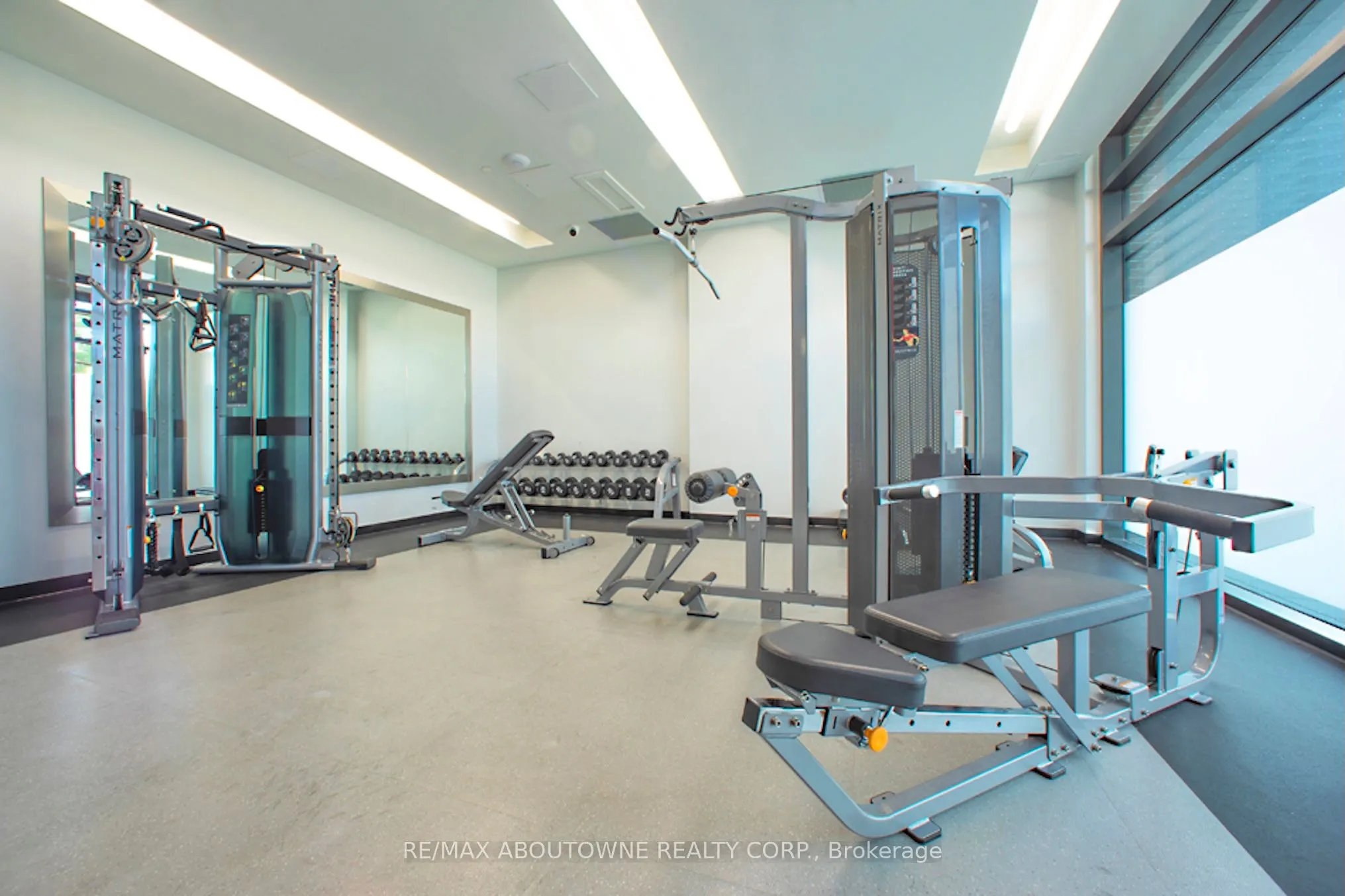 3385 Dundas Street W #311