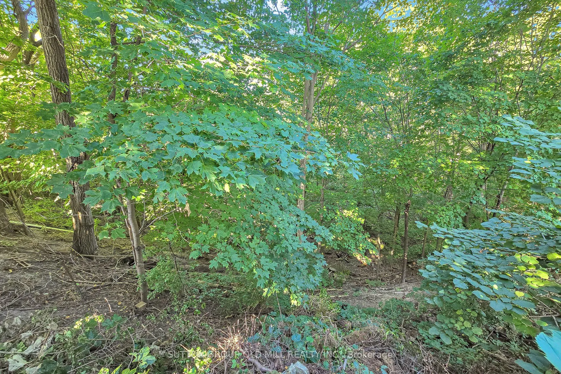 4 Ravenscrest Drive