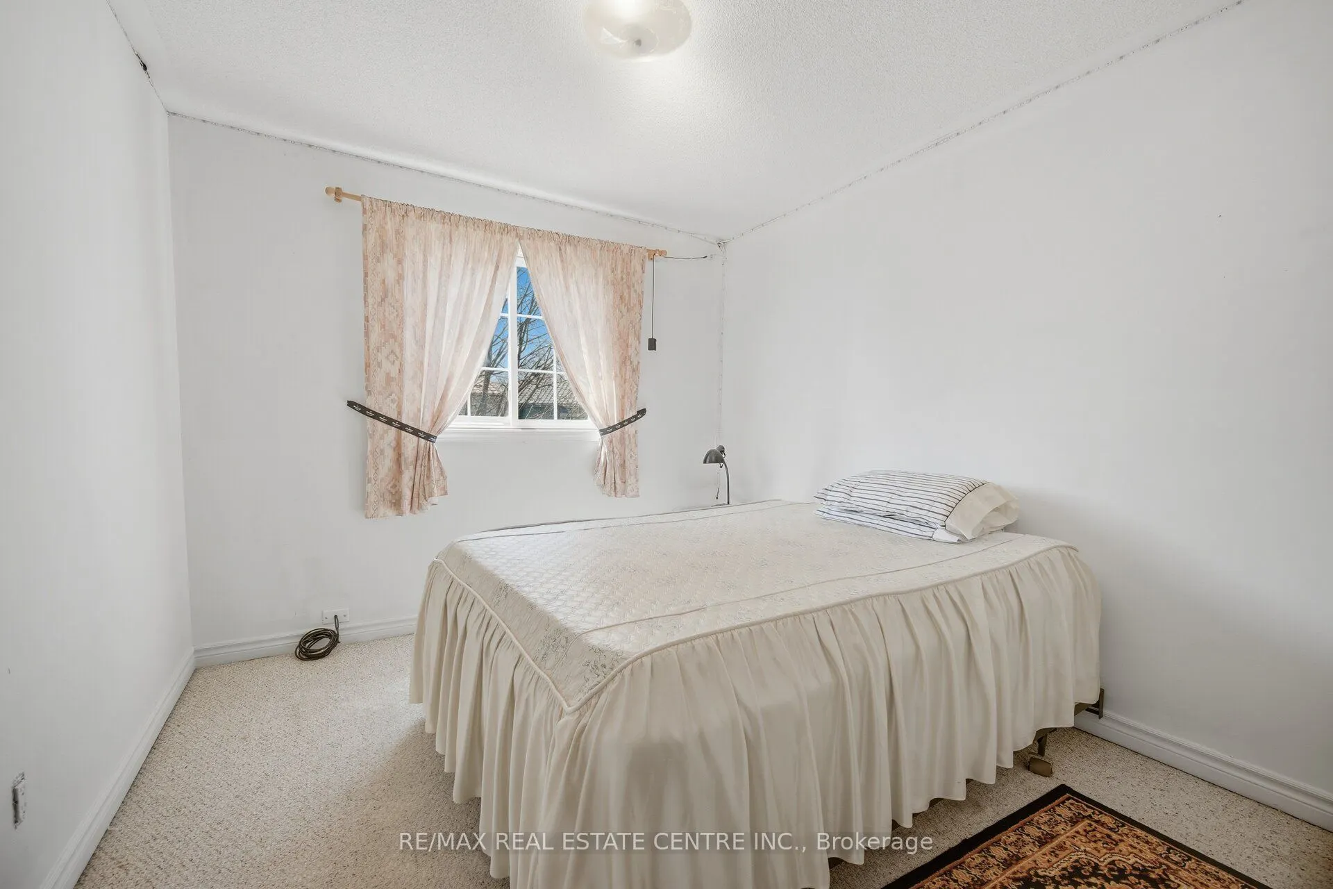 3 Hartnell Square #2