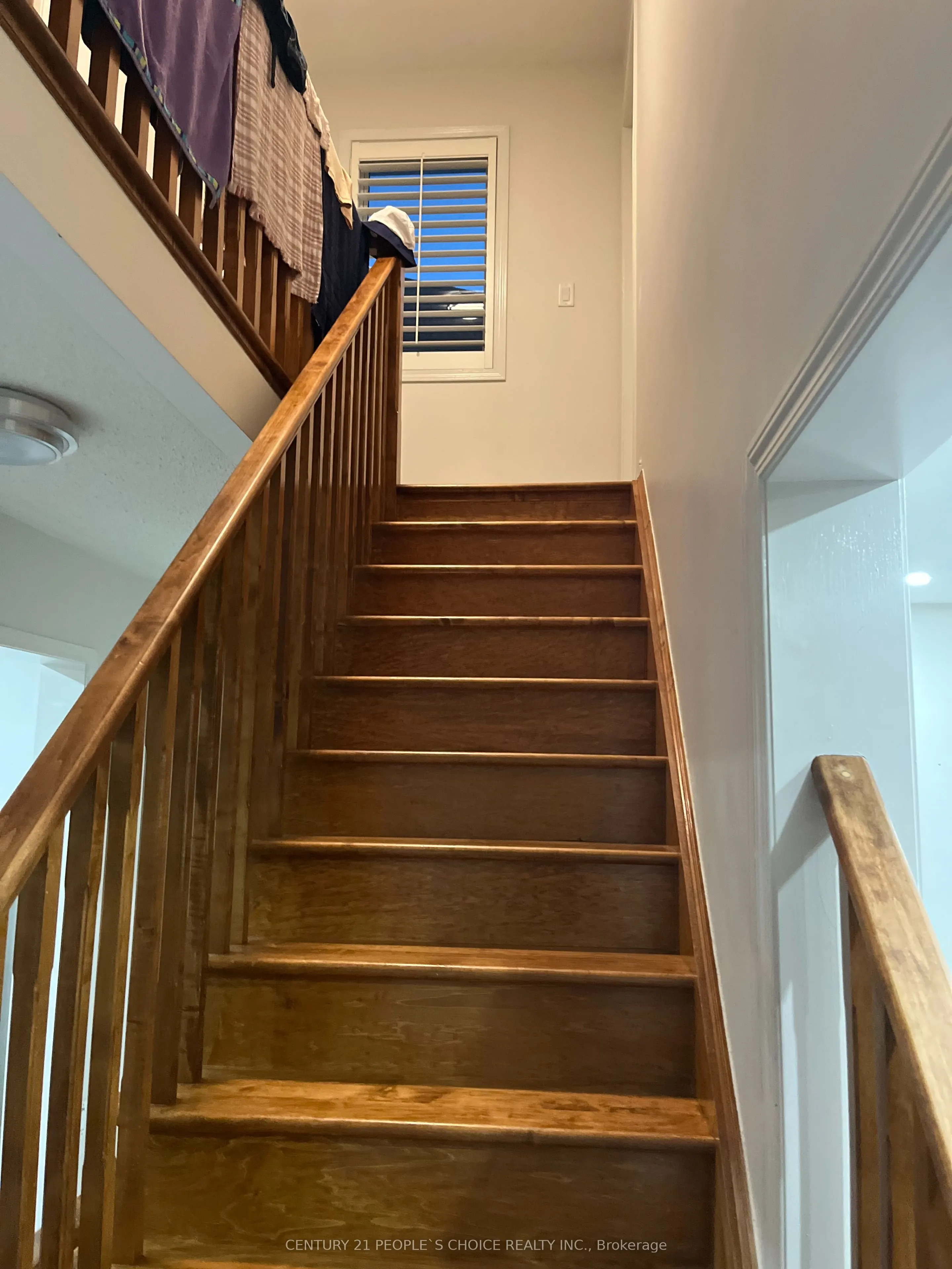 117 Decker Hollow Circle