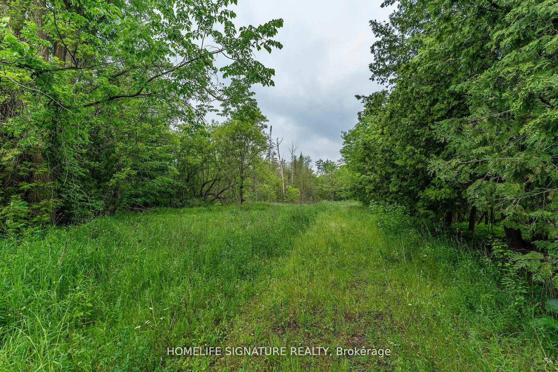 12373 Highway 7 Highway