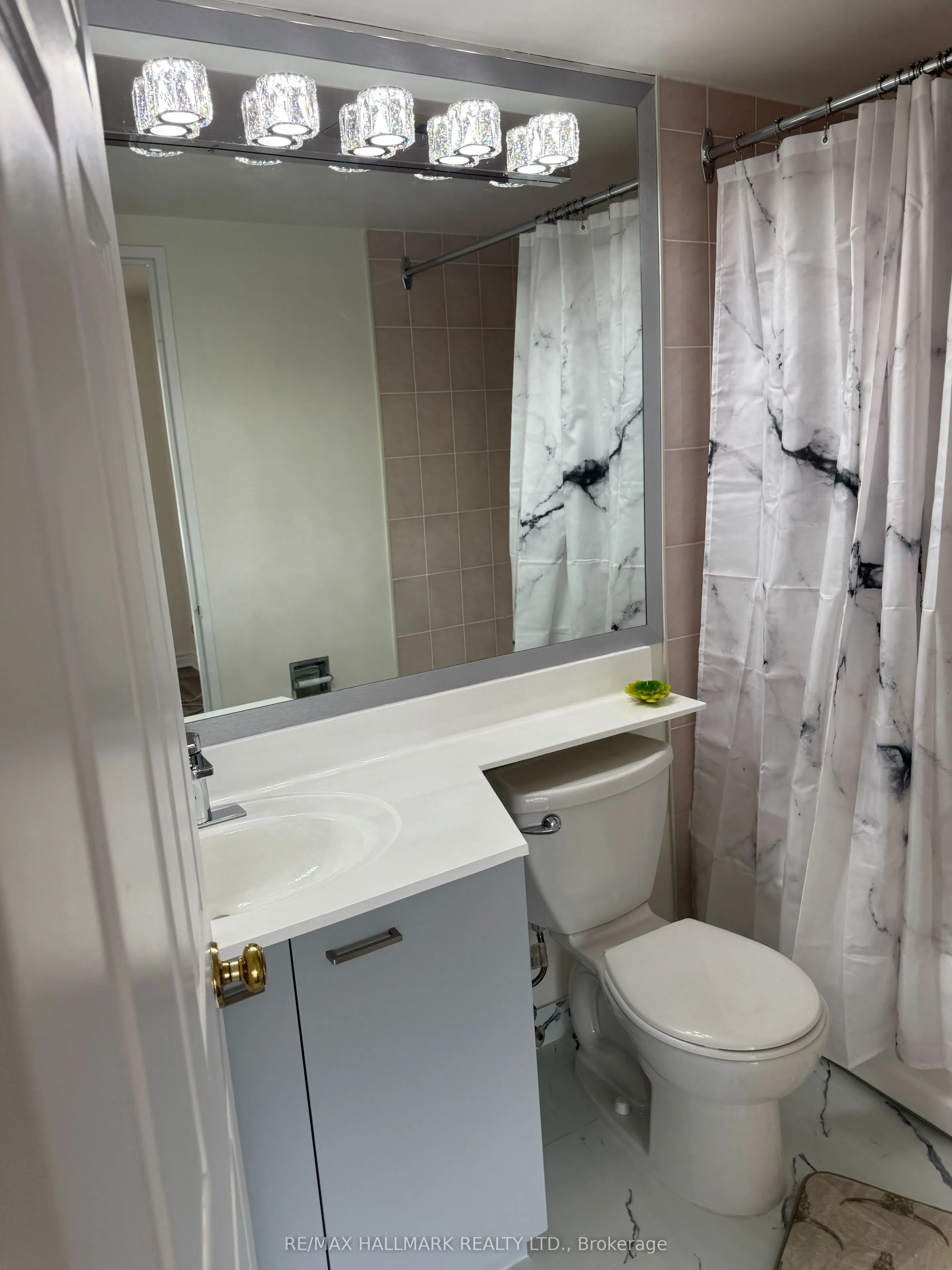 55 Elm Drive W #501